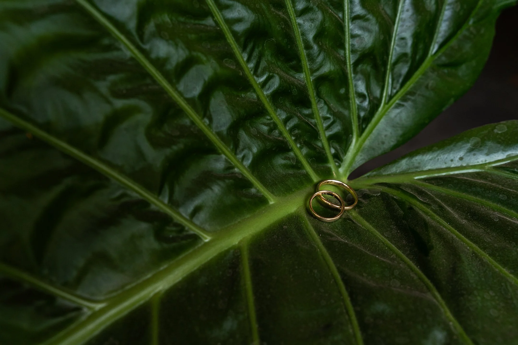 Maria Jose y Lorenzo  (16 de 675).jpg