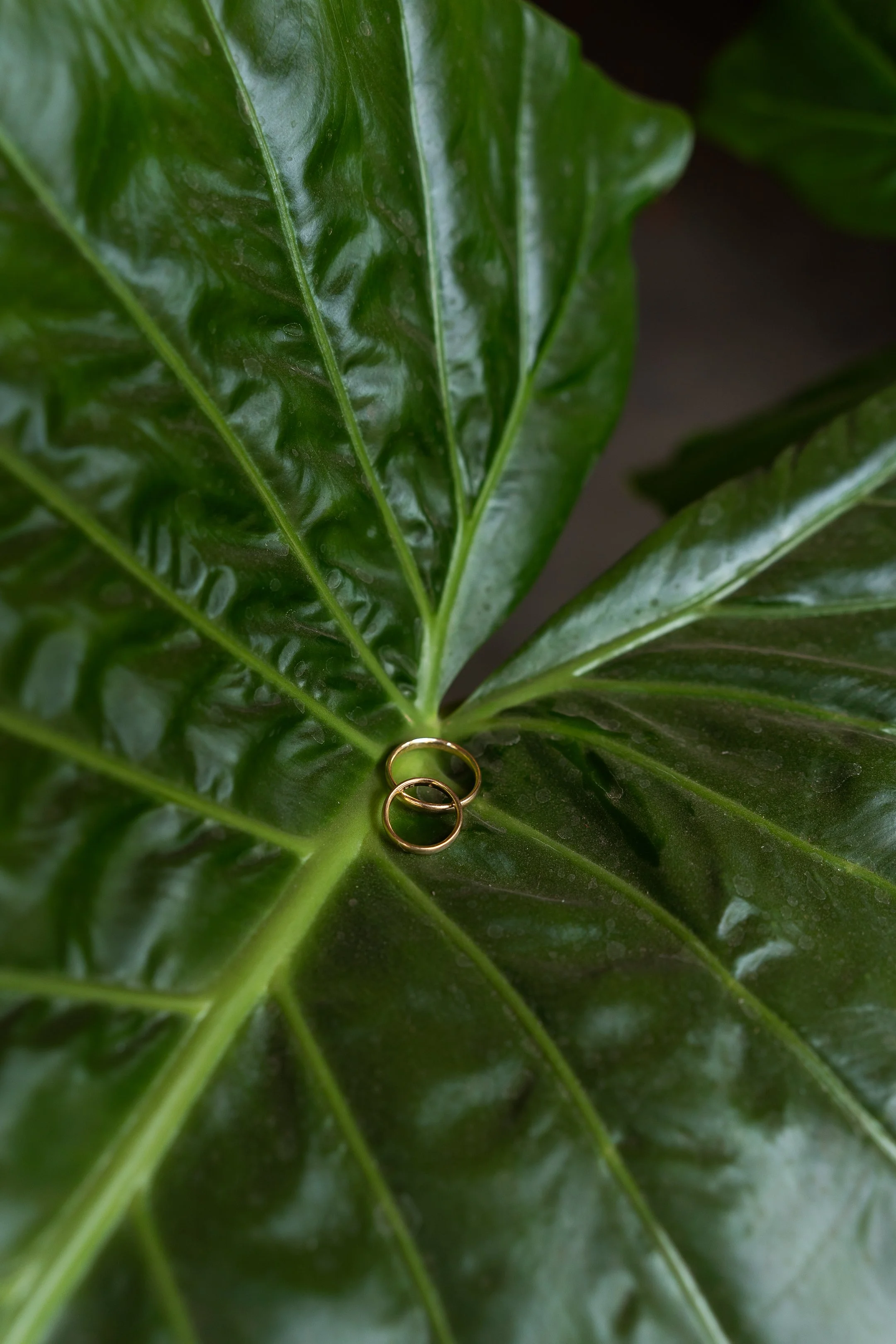 Maria Jose y Lorenzo  (14 de 675).jpg