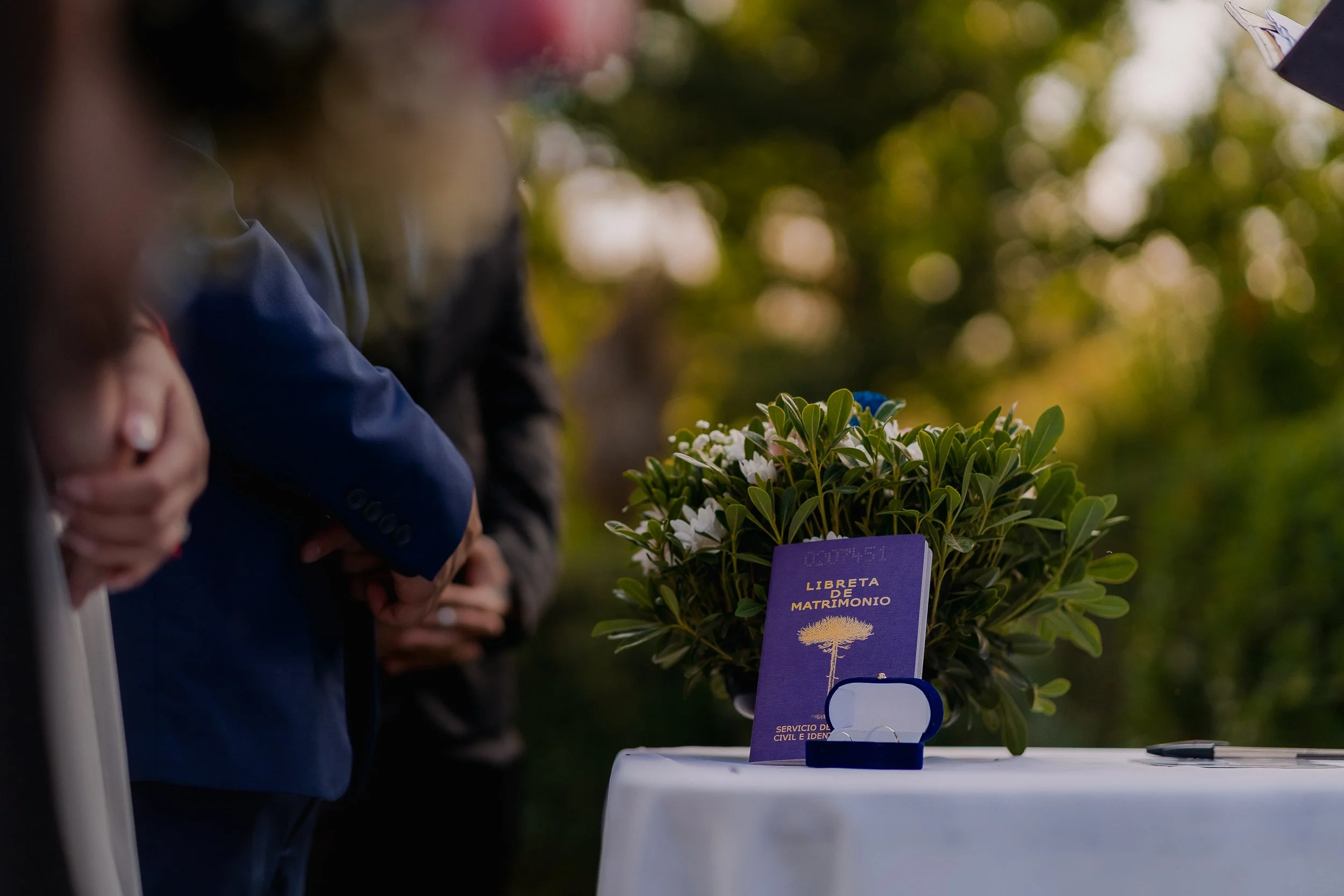 MATRIMONIO SANTIAGO LAMPA 2024 (16 de 168).jpg