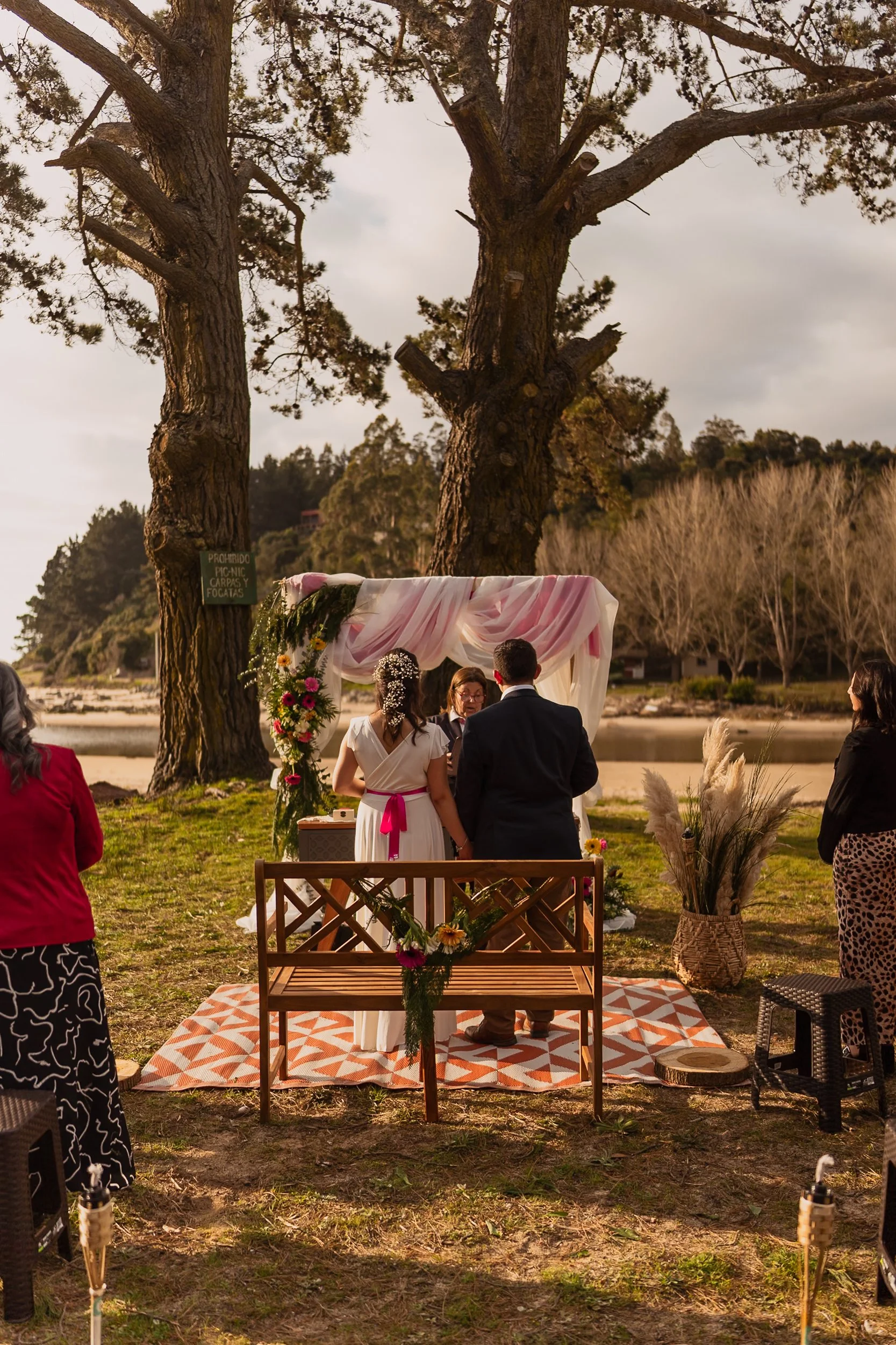 tome (37 de 184).jpg