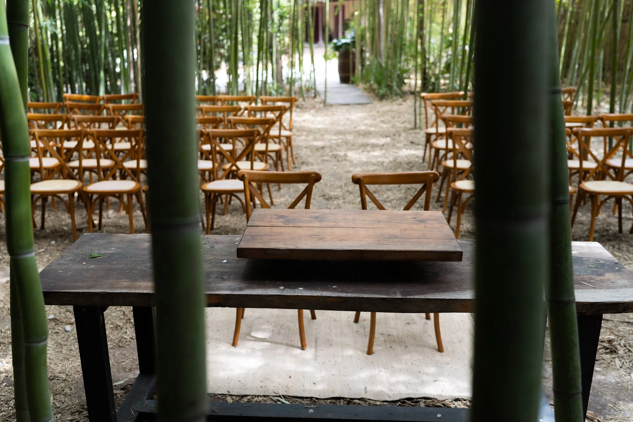 Maria Jose y Lorenzo  (29 de 675).jpg