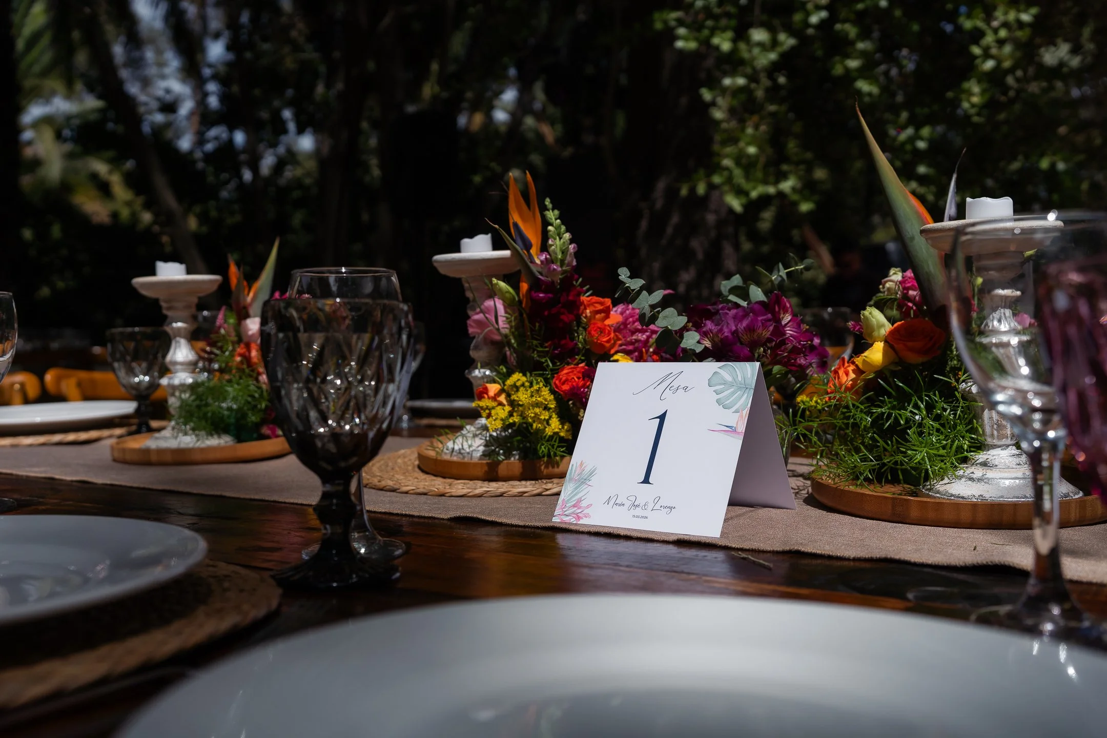 Maria Jose y Lorenzo  (50 de 675).jpg