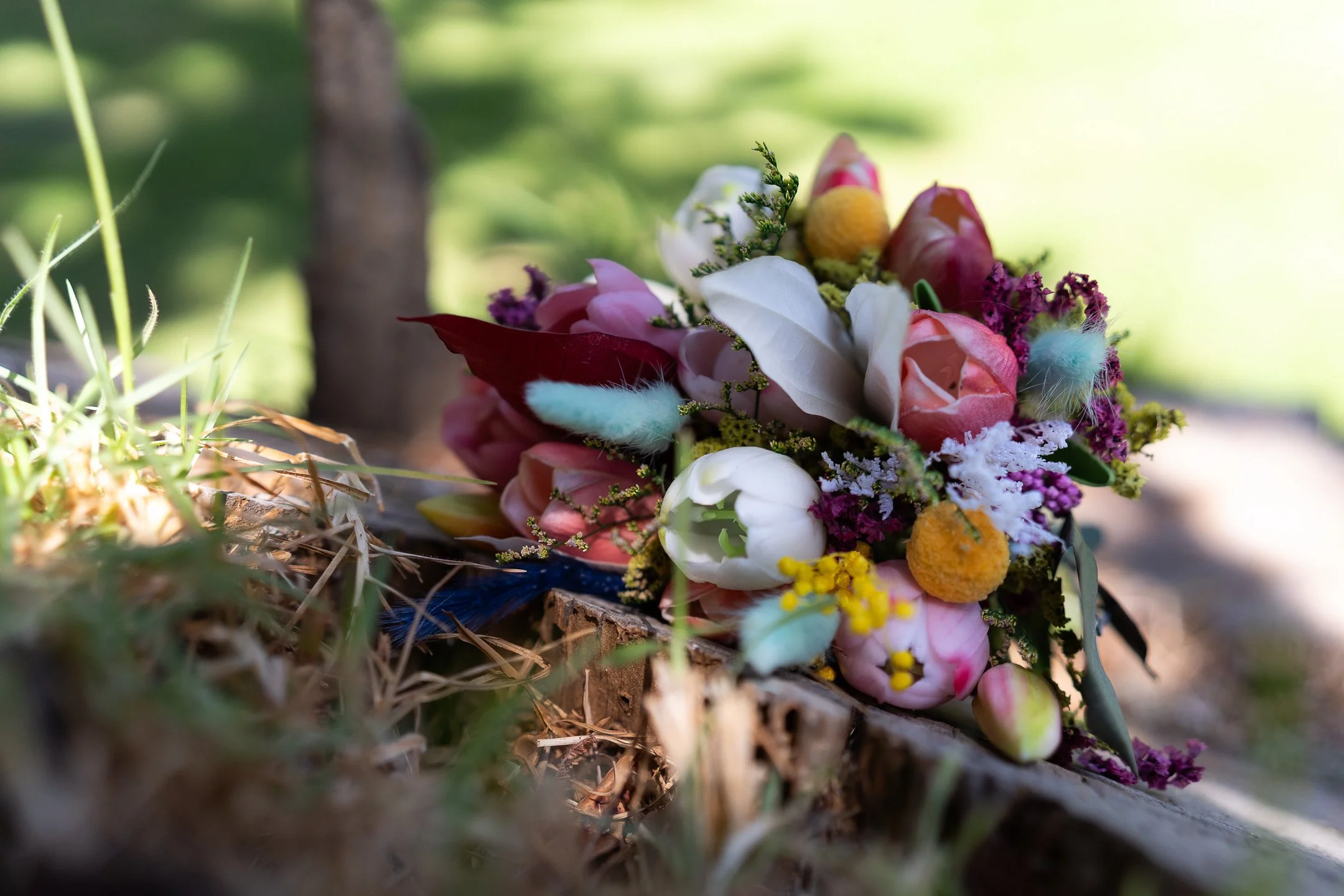 Valeria y Fernando (23 de 650).jpg