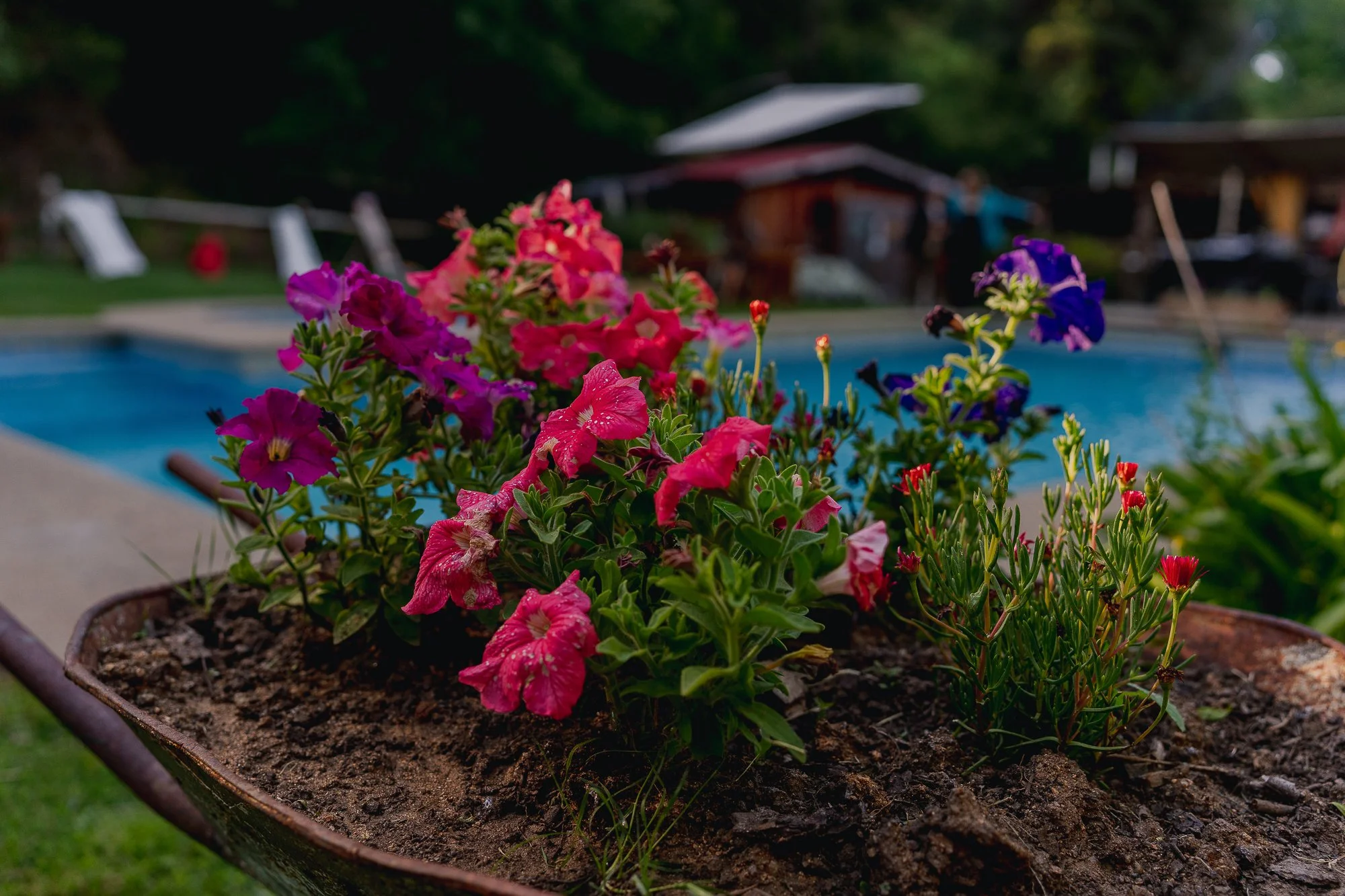 Gabriel y Kary-6.jpg