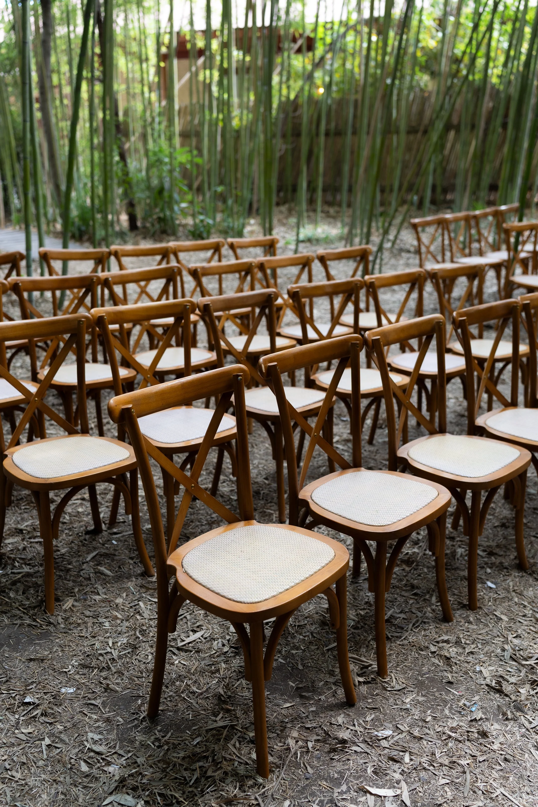 Maria Jose y Lorenzo  (27 de 675).jpg