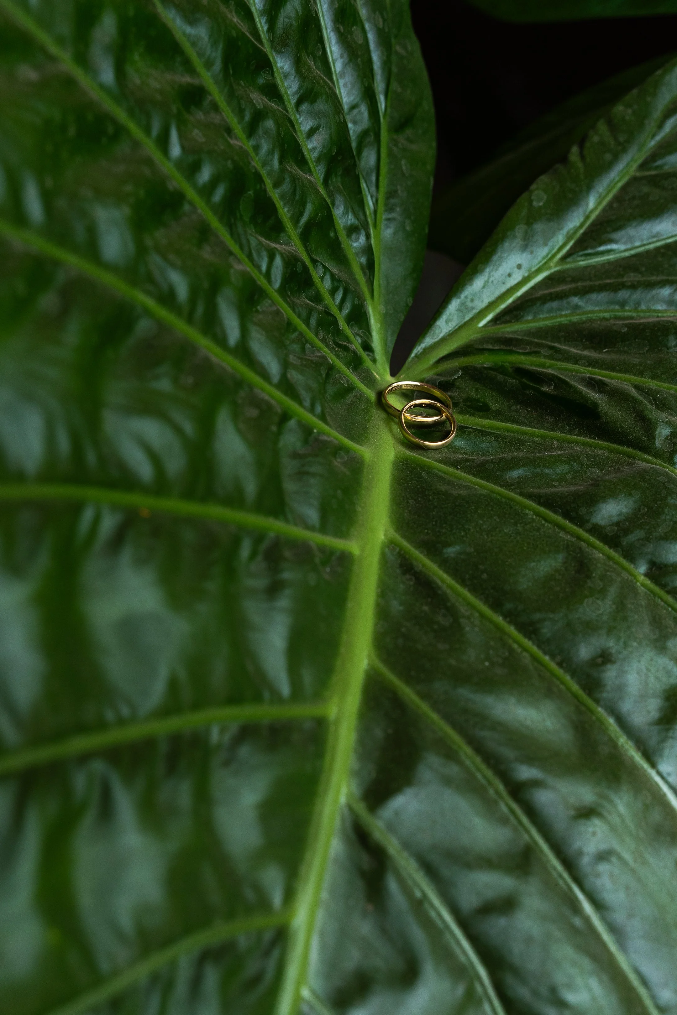 Maria Jose y Lorenzo  (17 de 675).jpg