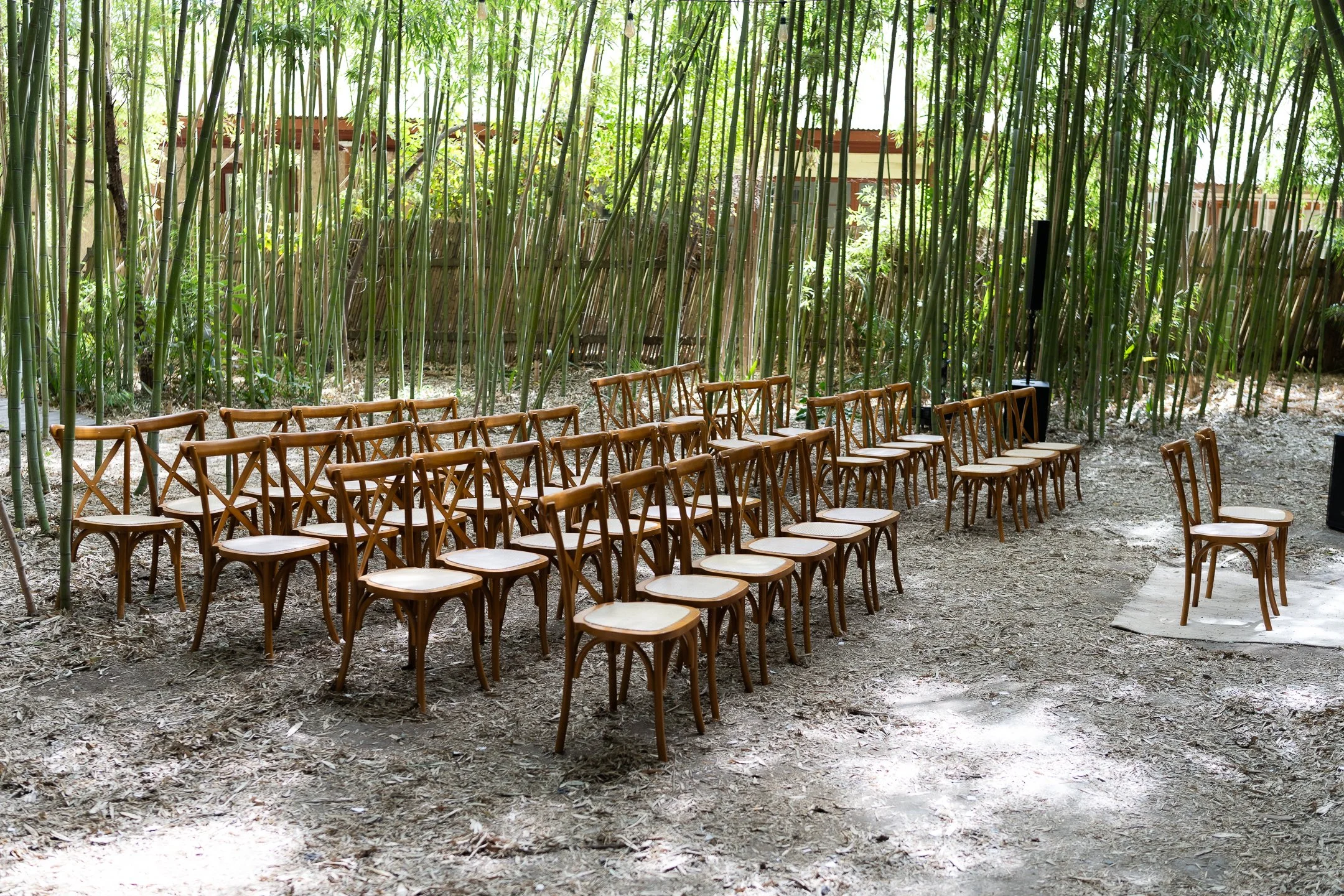 Maria Jose y Lorenzo  (25 de 675).jpg