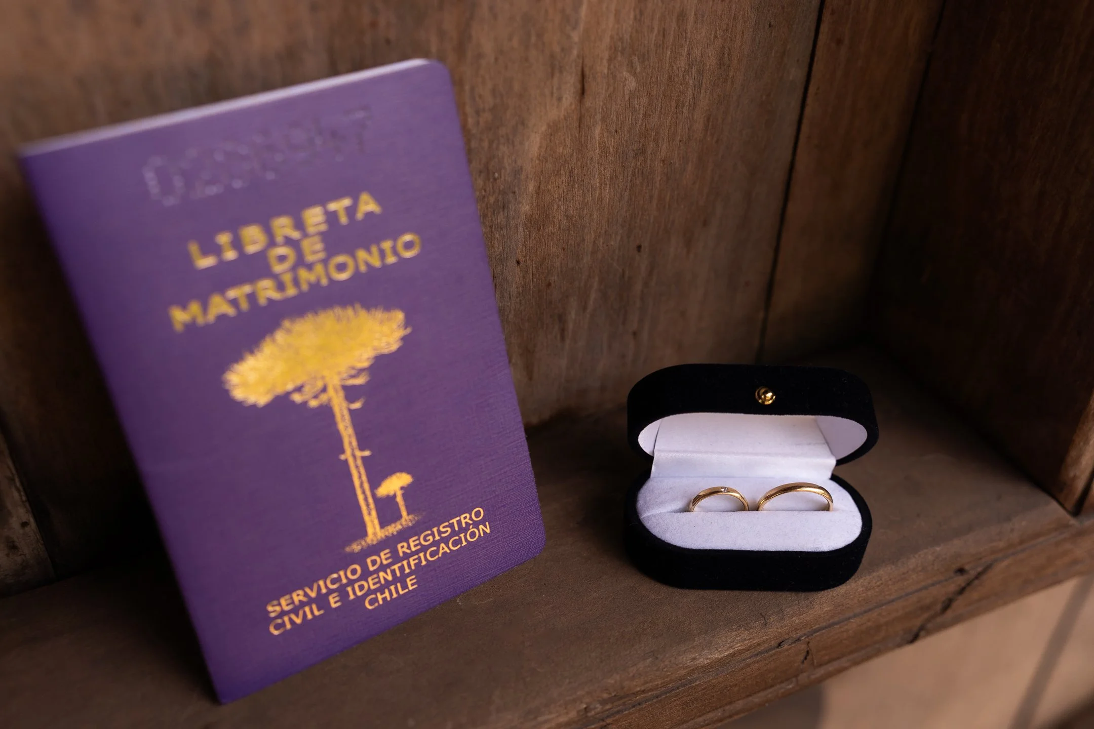 Maria Jose y Lorenzo  (10 de 675).jpg