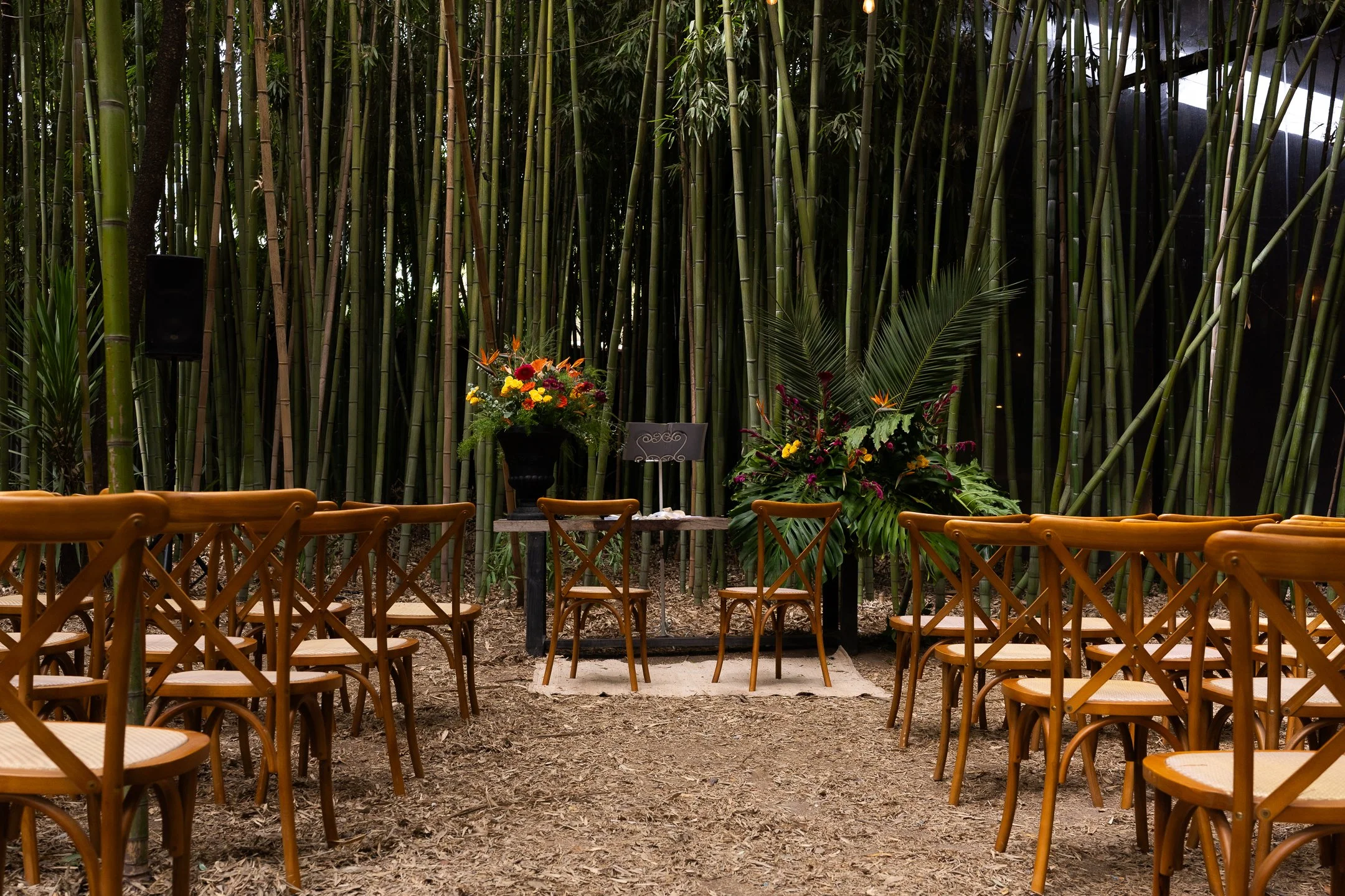 Maria Jose y Lorenzo  (132 de 675).jpg