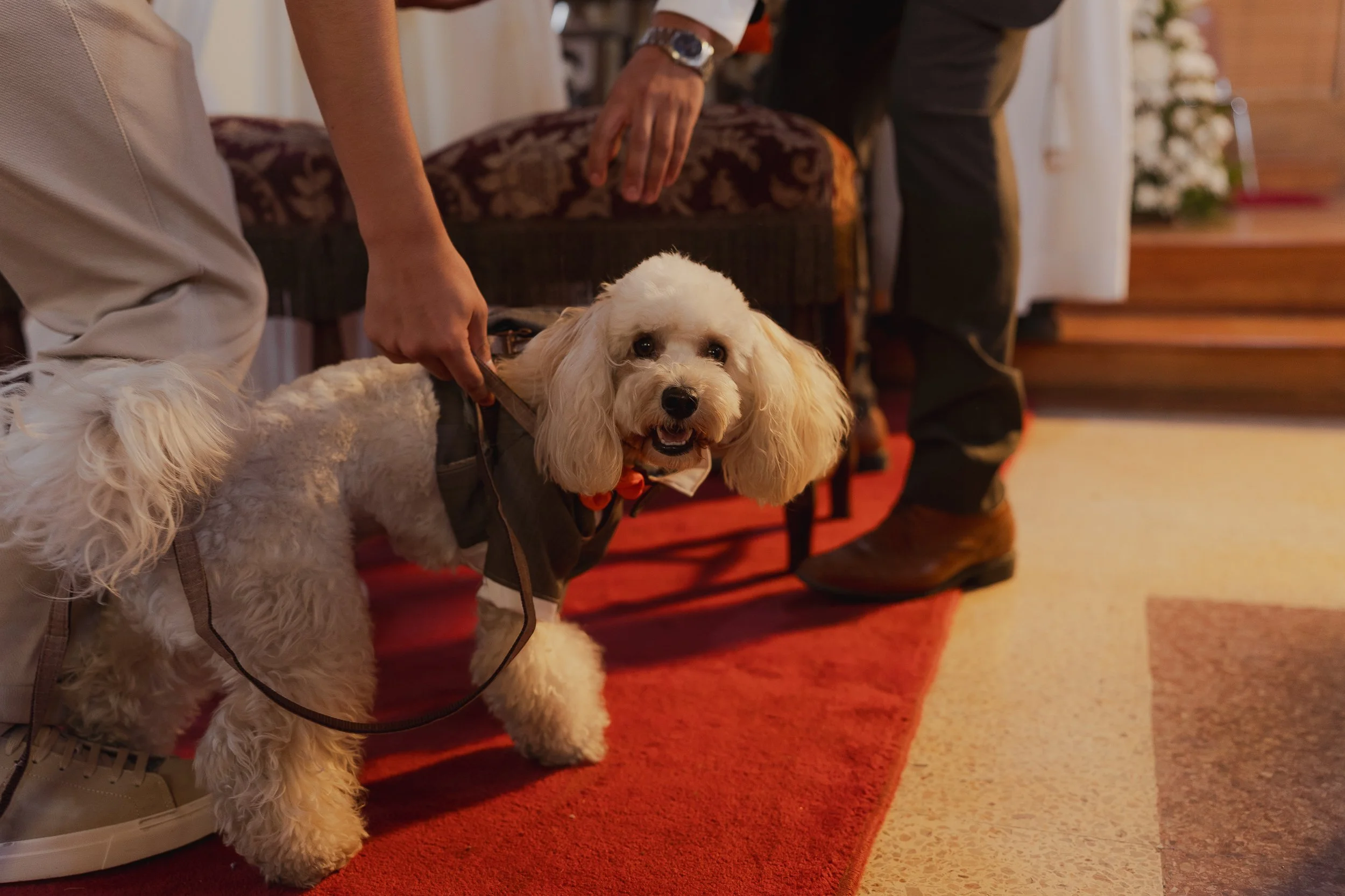 Maira y Seba  (95 de 520).jpg