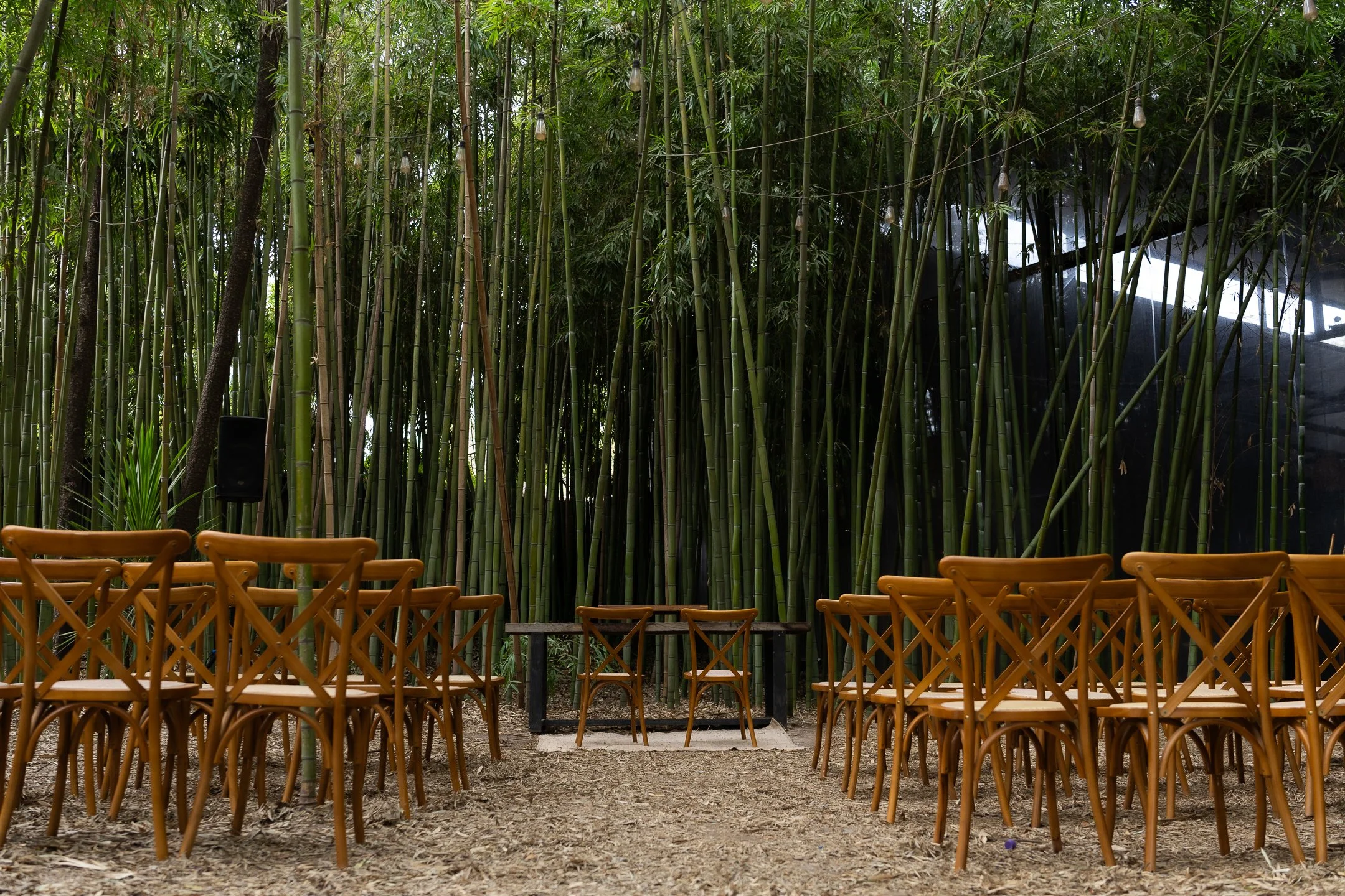 Maria Jose y Lorenzo  (32 de 675).jpg