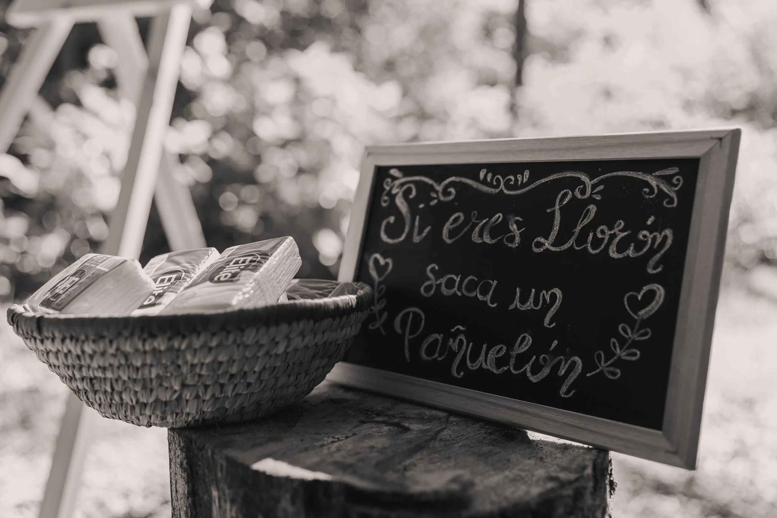 MATRIMONIO SANTIAGO LAMPA 2024 (10 de 278).jpg