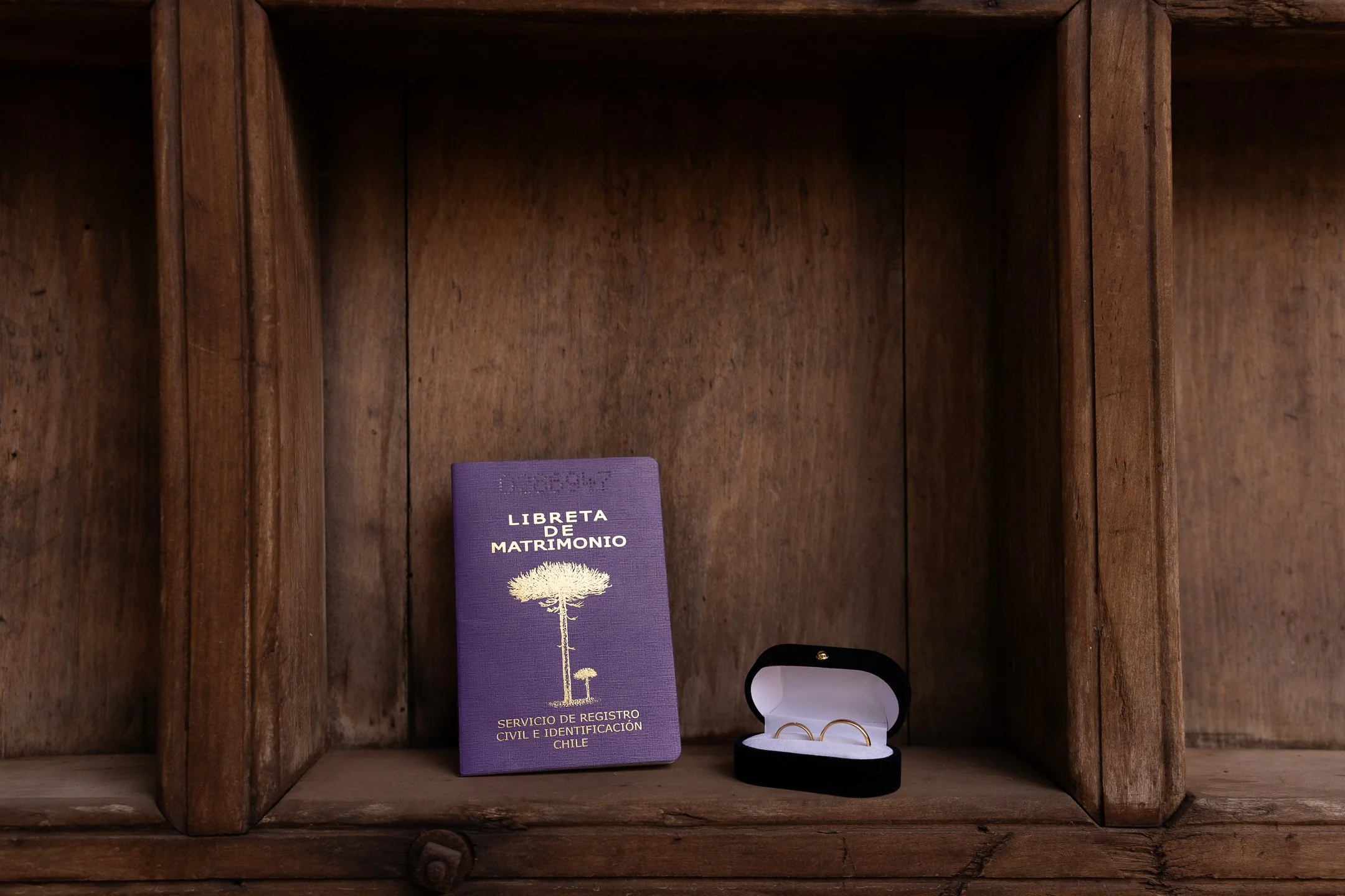 Maria Jose y Lorenzo  (11 de 675).jpg