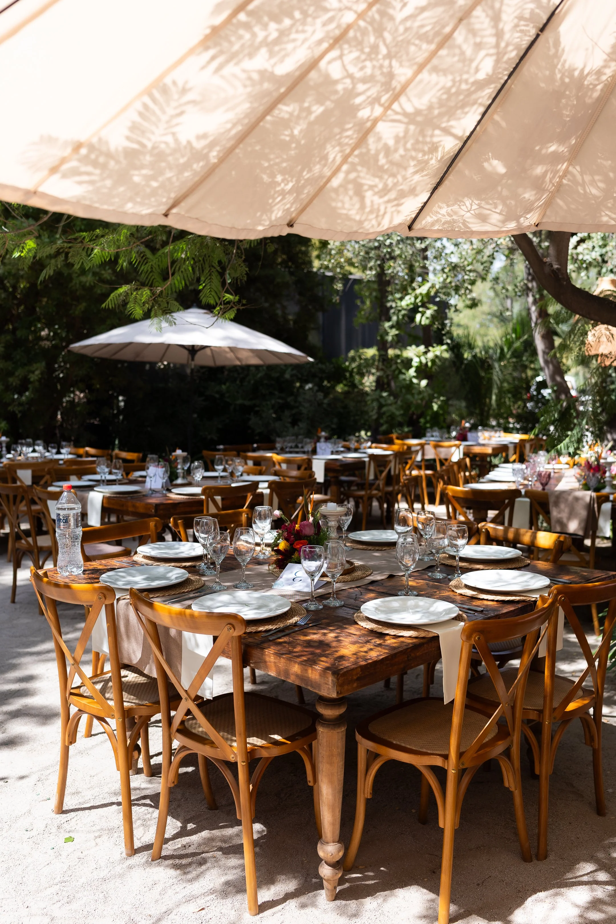 Maria Jose y Lorenzo  (53 de 675).jpg