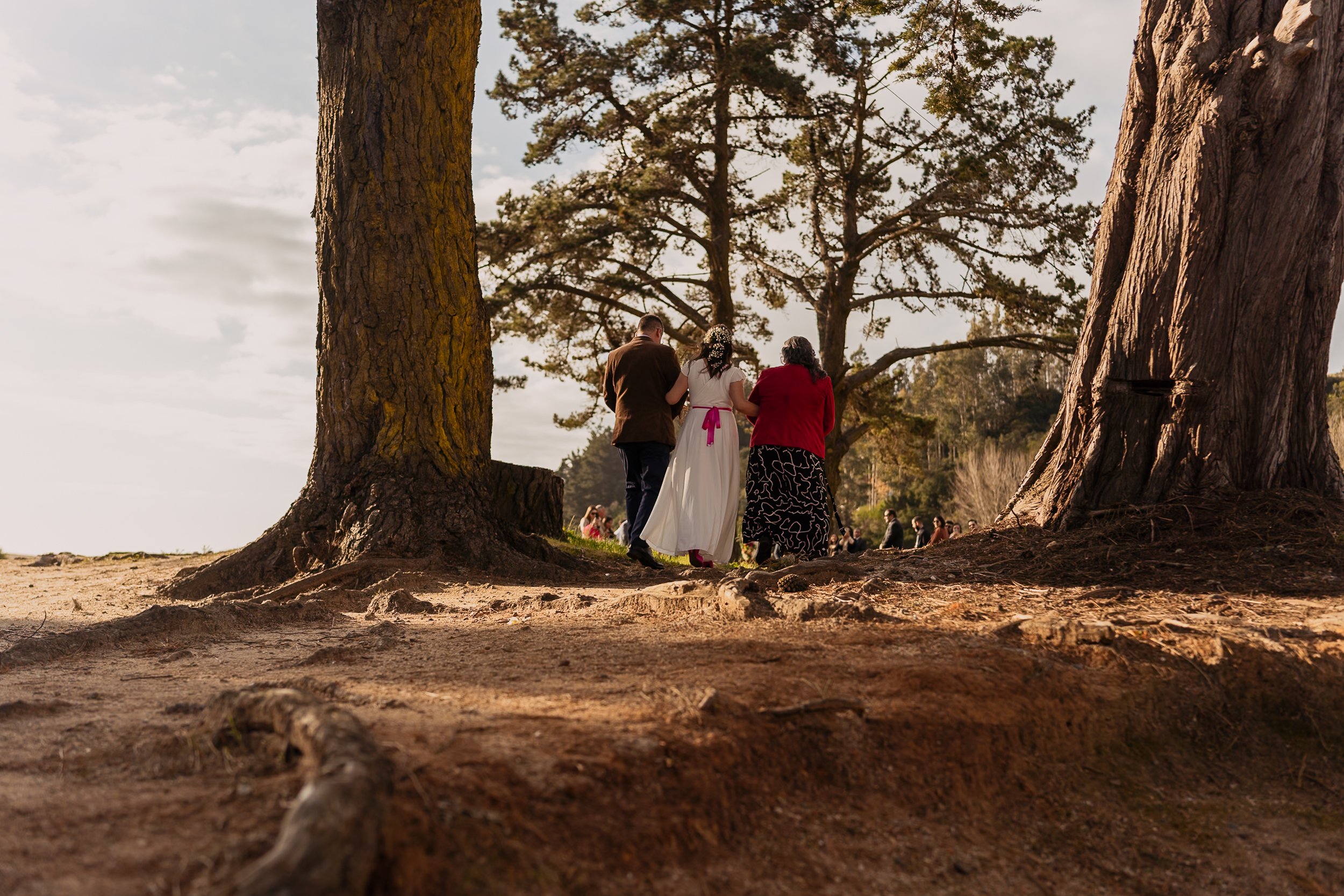 tome (24 de 184).jpg