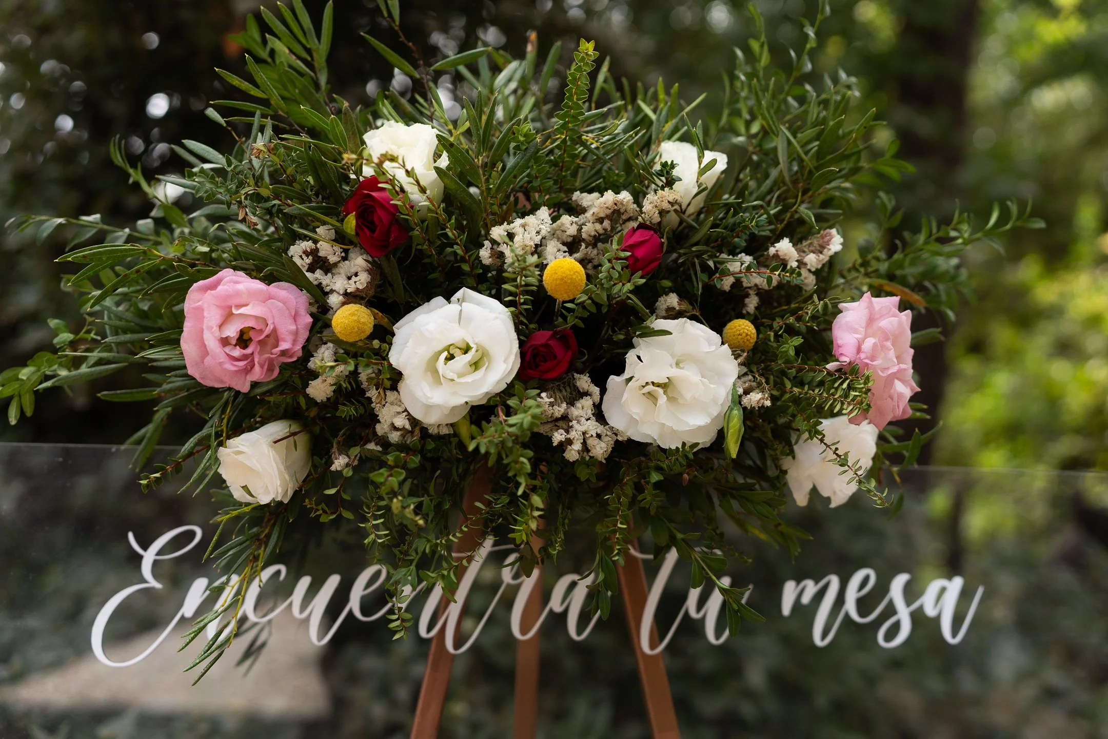 Maria Jose y Lorenzo  (41 de 675).jpg