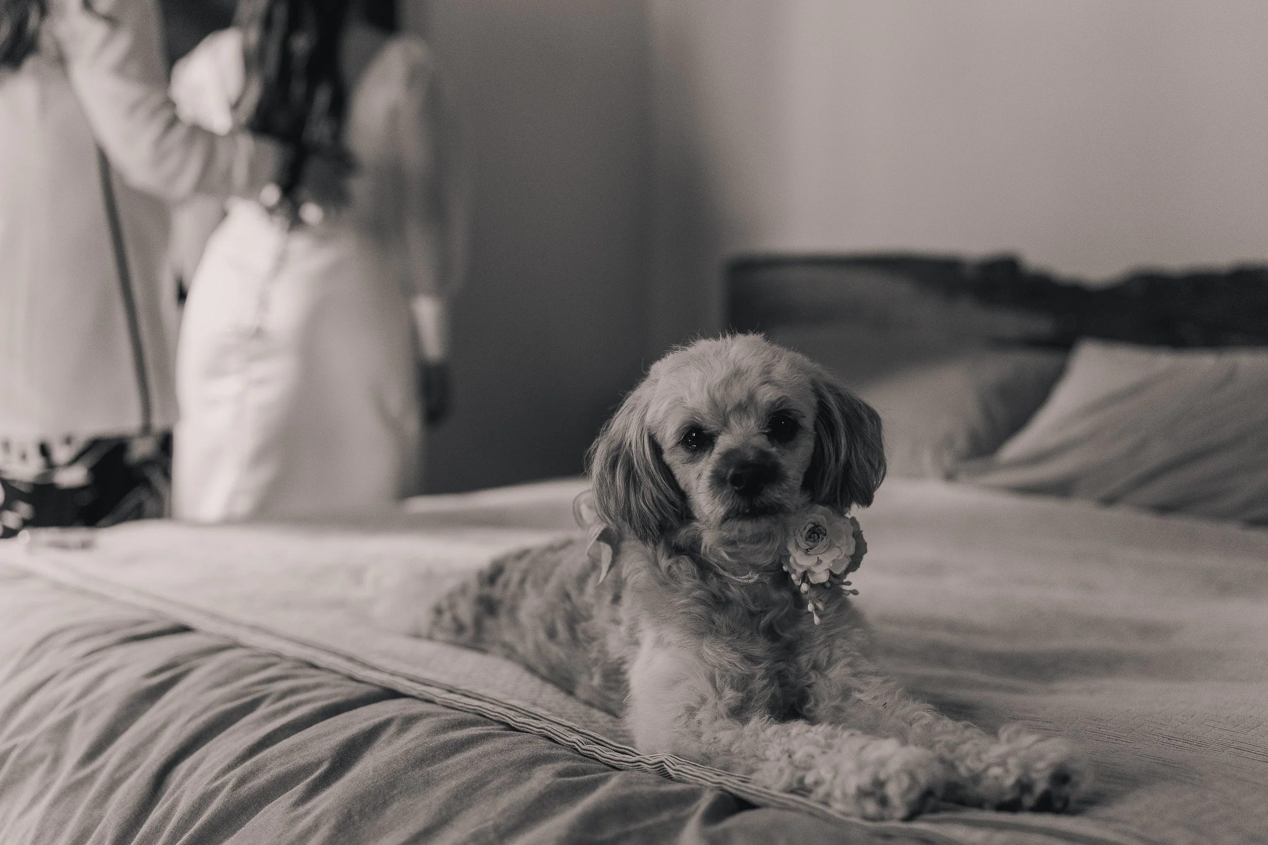 MATRIMONIO SANTIAGO LAMPA 2024 (45 de 278).jpg