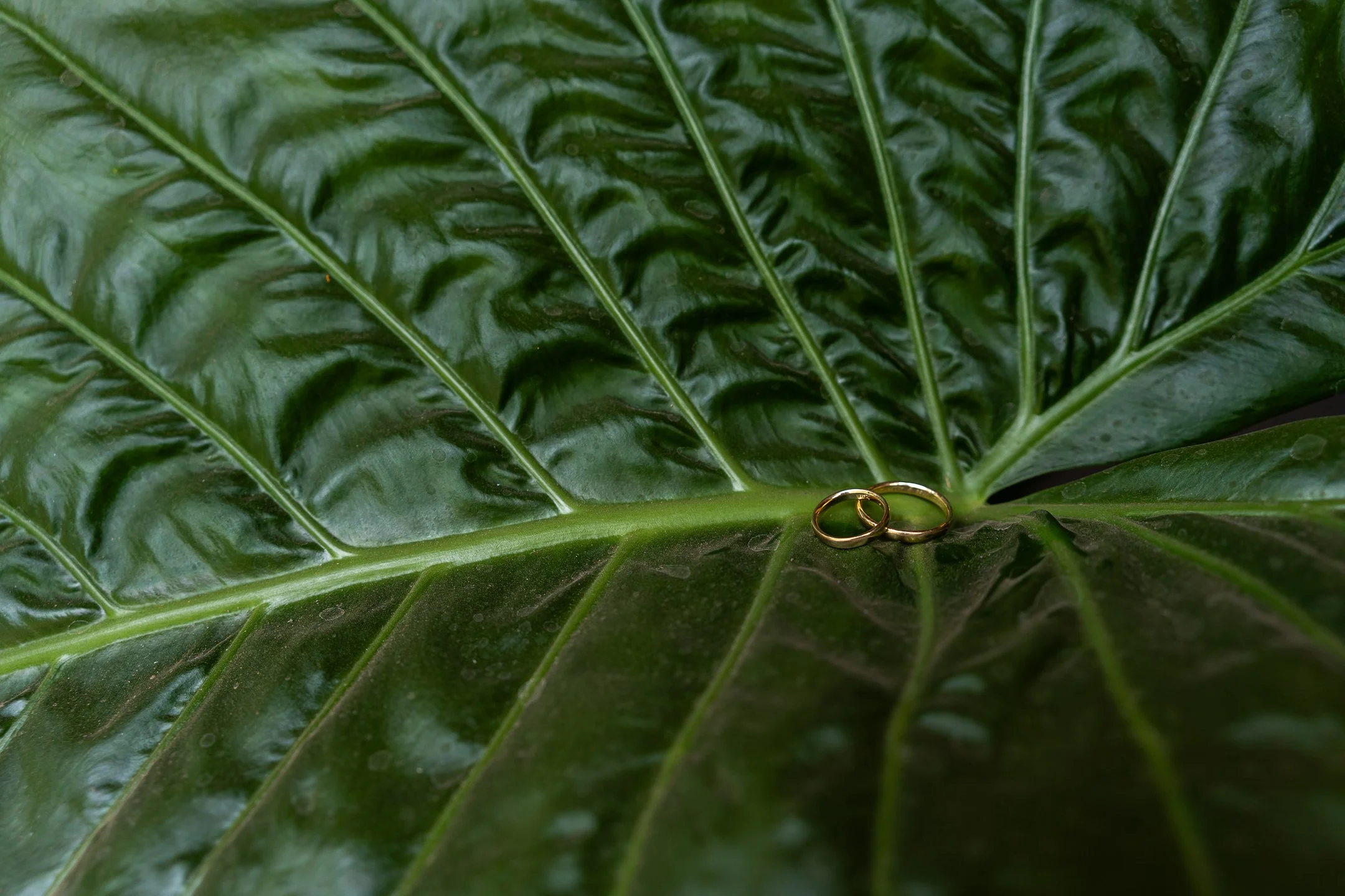 Maria Jose y Lorenzo  (15 de 675).jpg