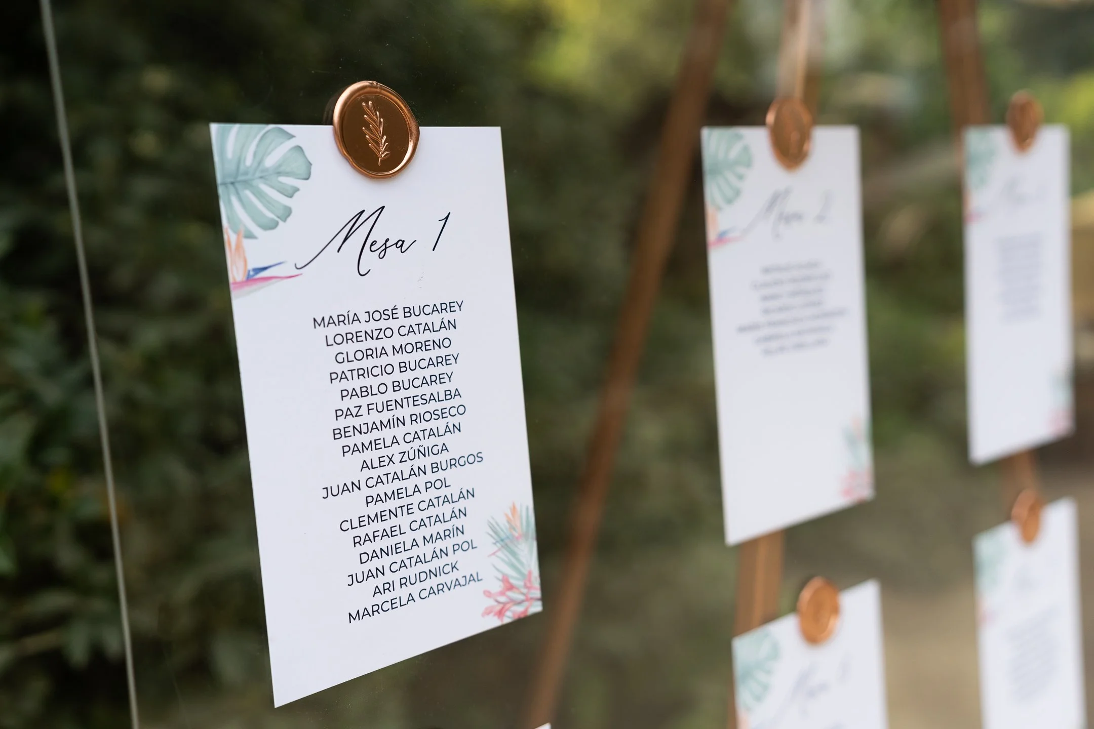 Maria Jose y Lorenzo  (40 de 675).jpg