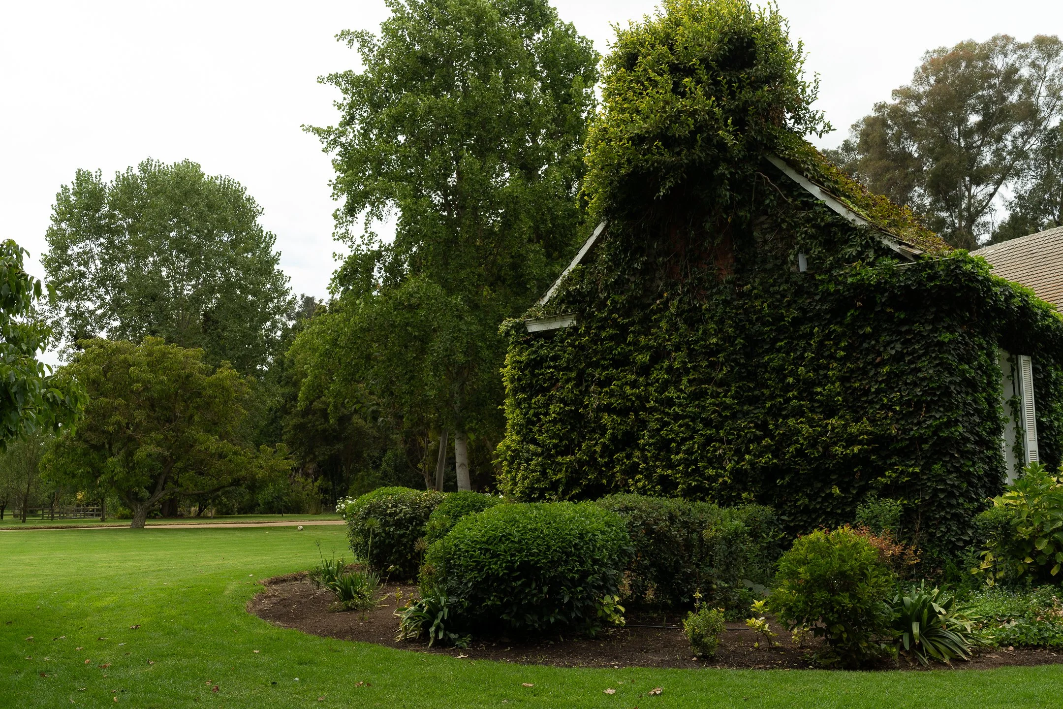 Valeria y Fernando (1 de 650).jpg