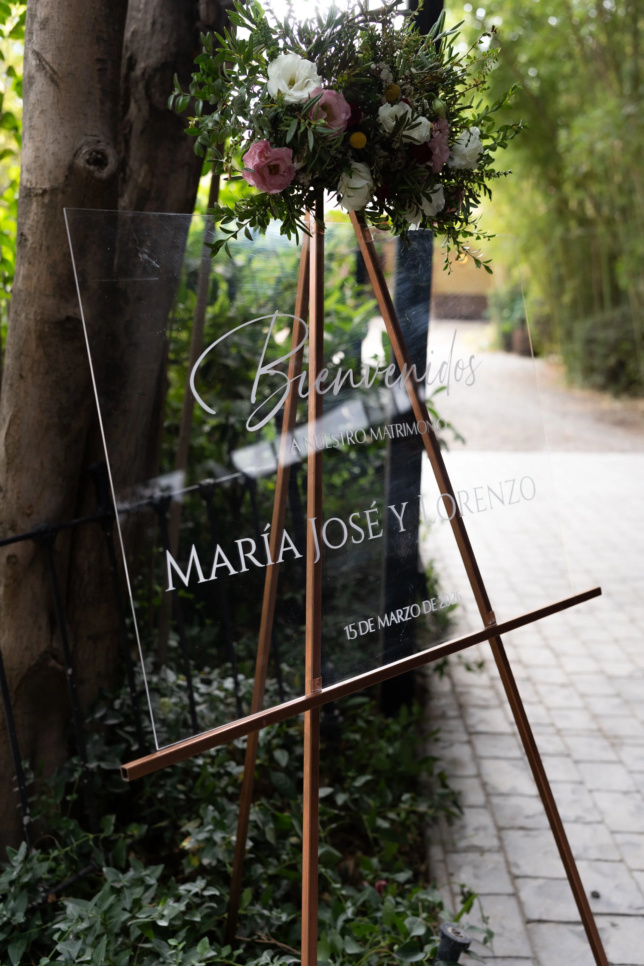 Maria Jose y Lorenzo  (30 de 675).jpg