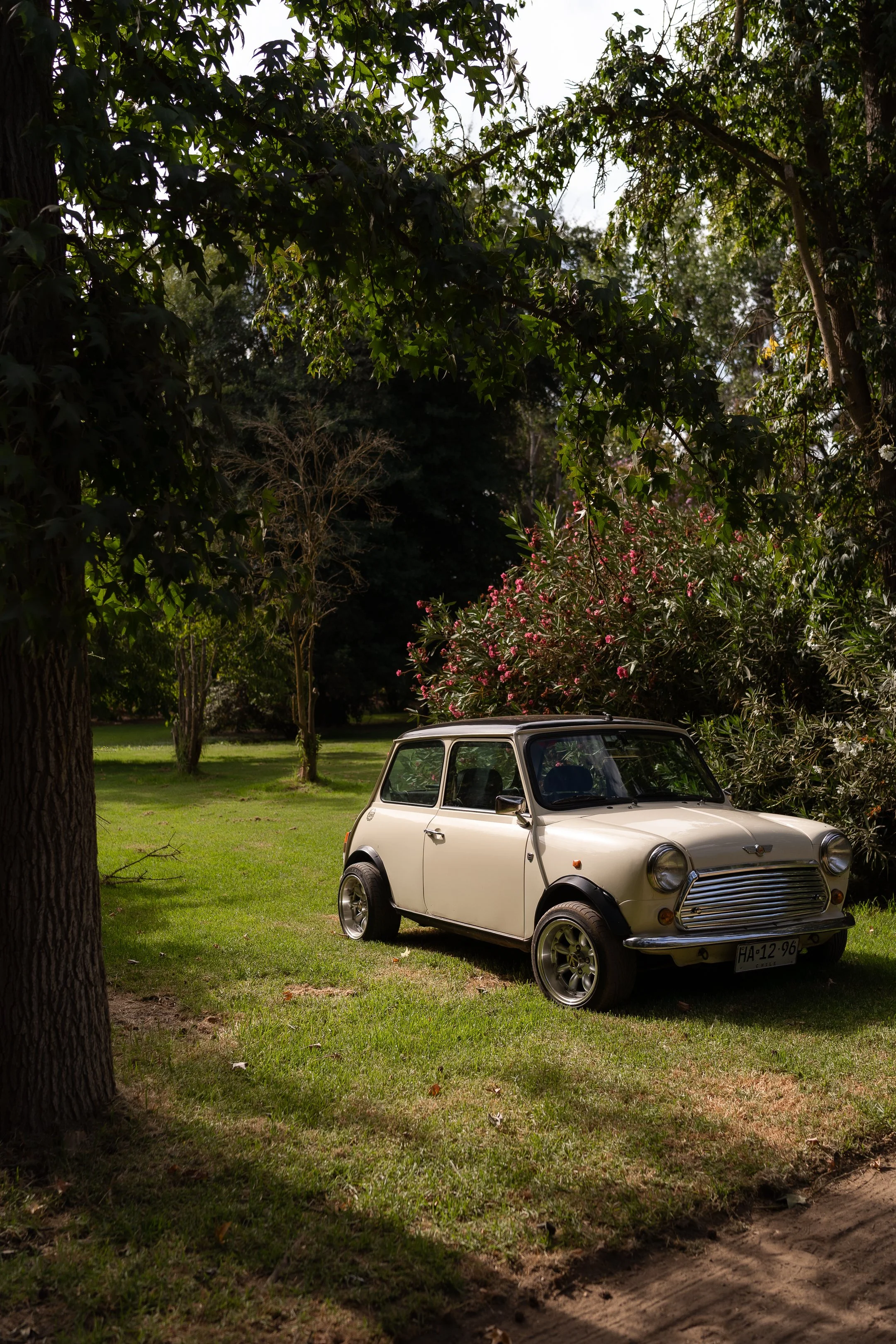 Valeria y Fernando (197 de 650).jpg