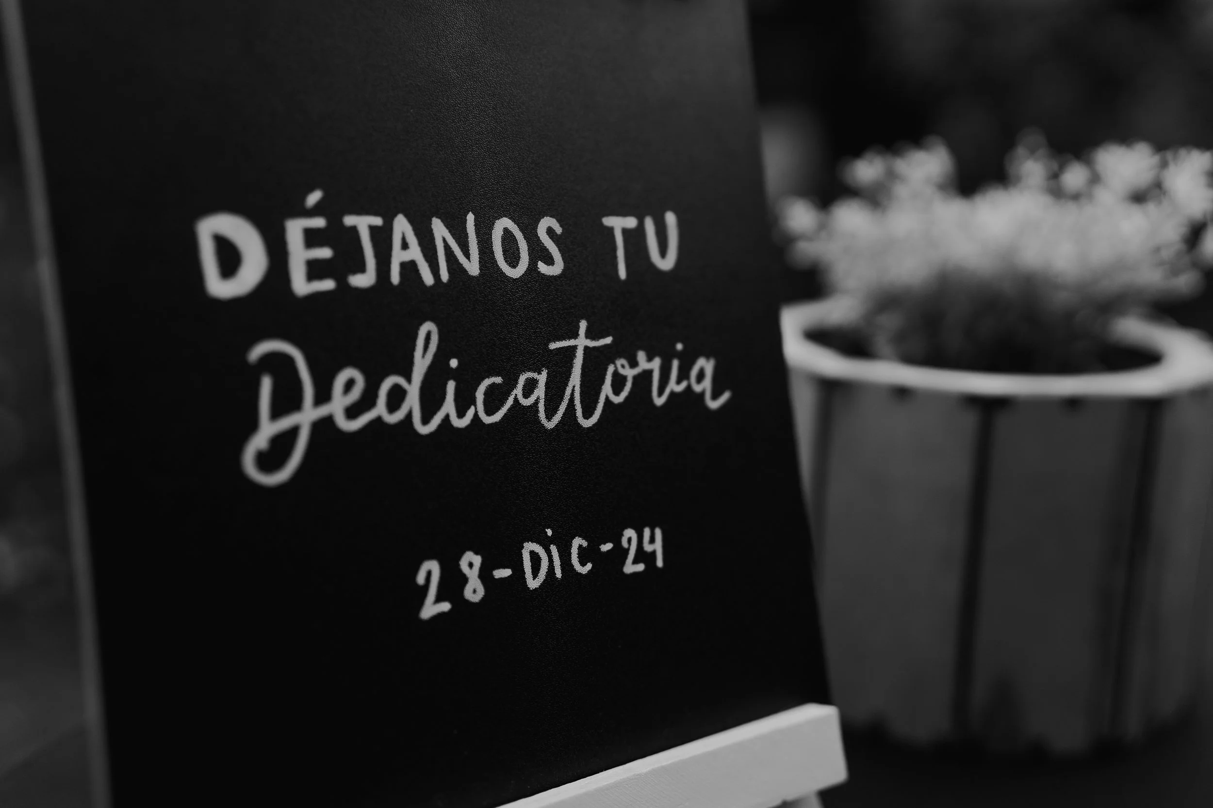 MATRIMONIO SANTIAGO LAMPA 2024 (83 de 172).jpg