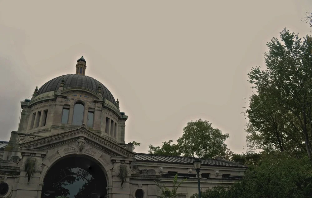 IMG_8812.JPG