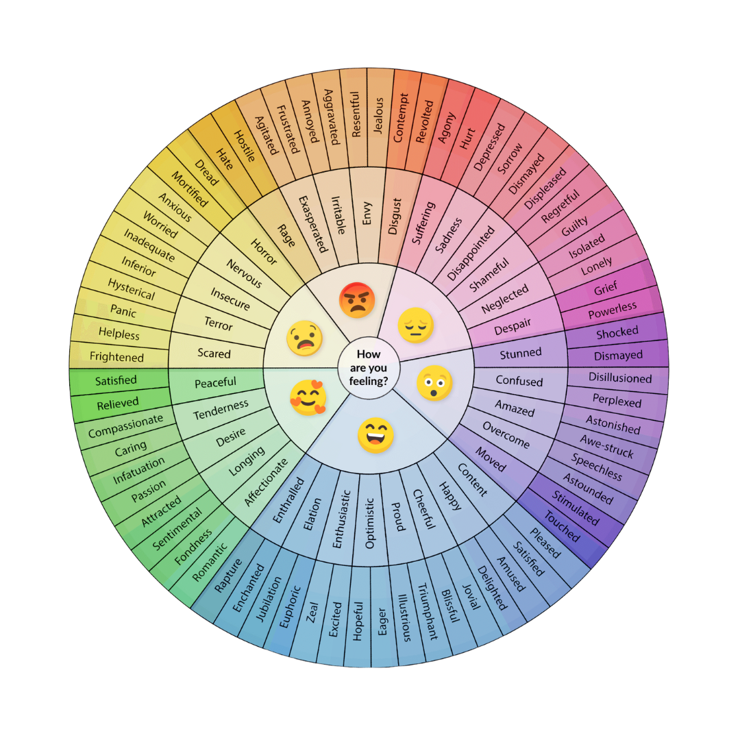 Colorful circular chart illustrating various emotions and feelings categorized into sections such as anger, sadness, happiness, fear, and calmness. The chart includes emoticons in the center representing different emotional states.