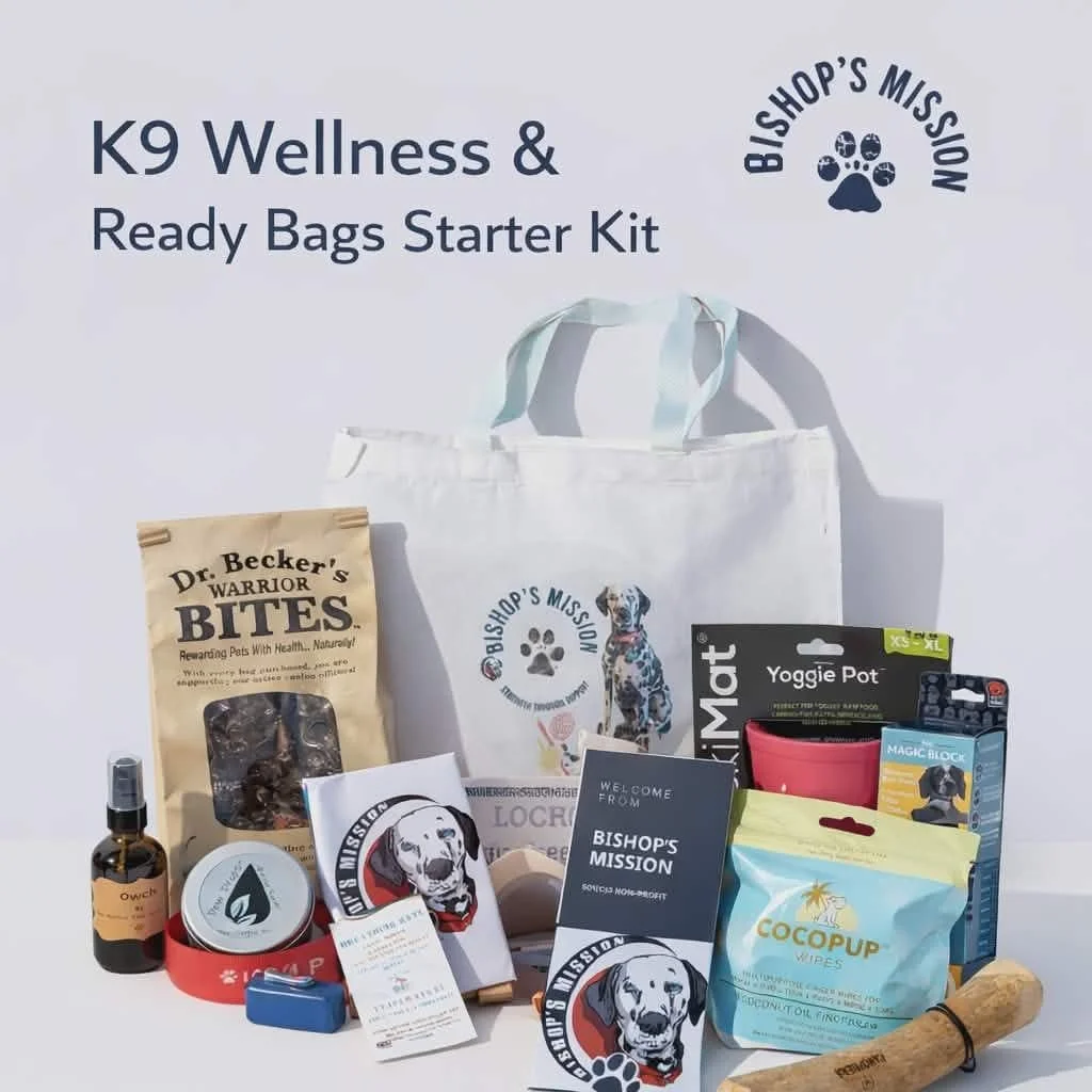 Looking into the New year