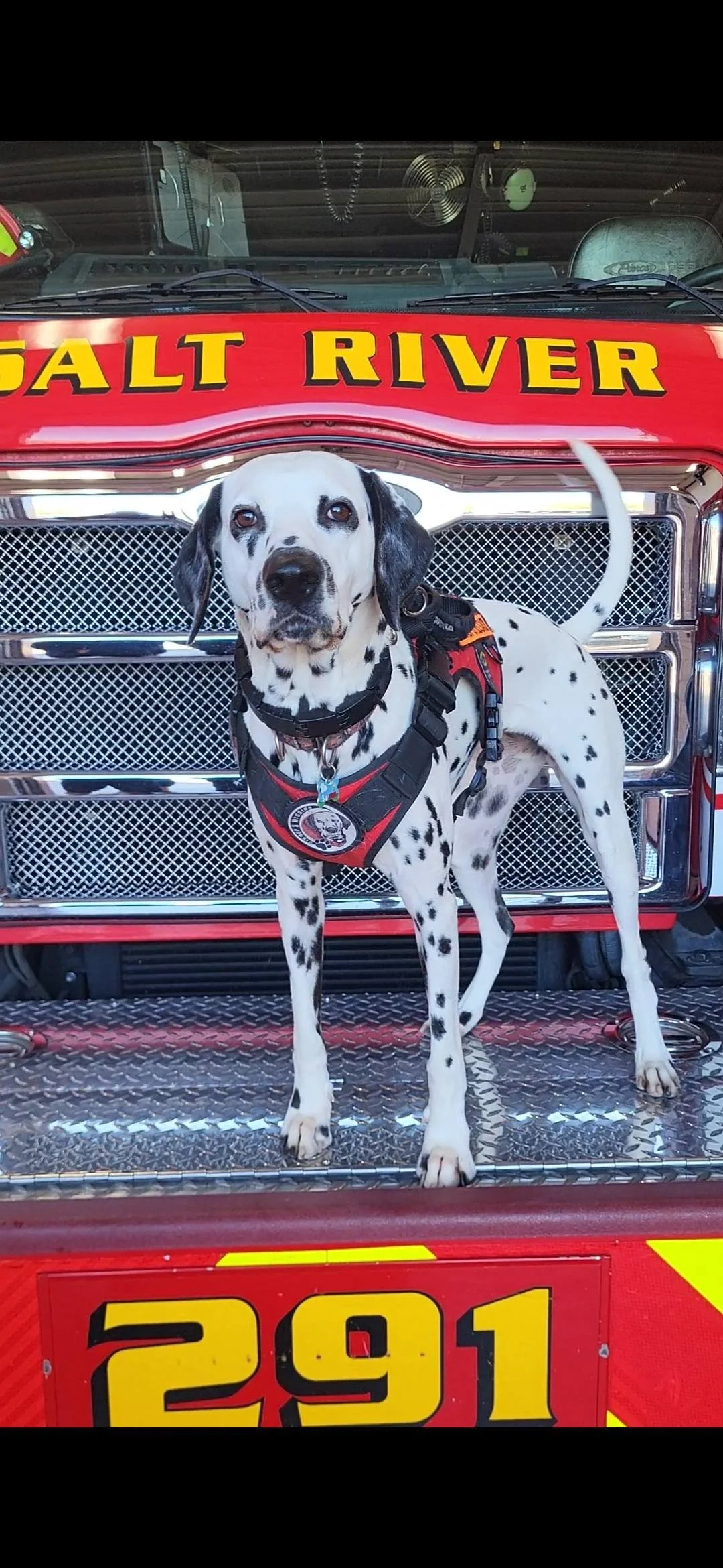 Staying Connected: Bishop’s Mission on Podcasts &amp; Radio