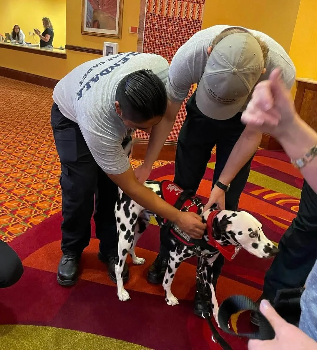 What is a “Working Dog”?  it may be more than you think