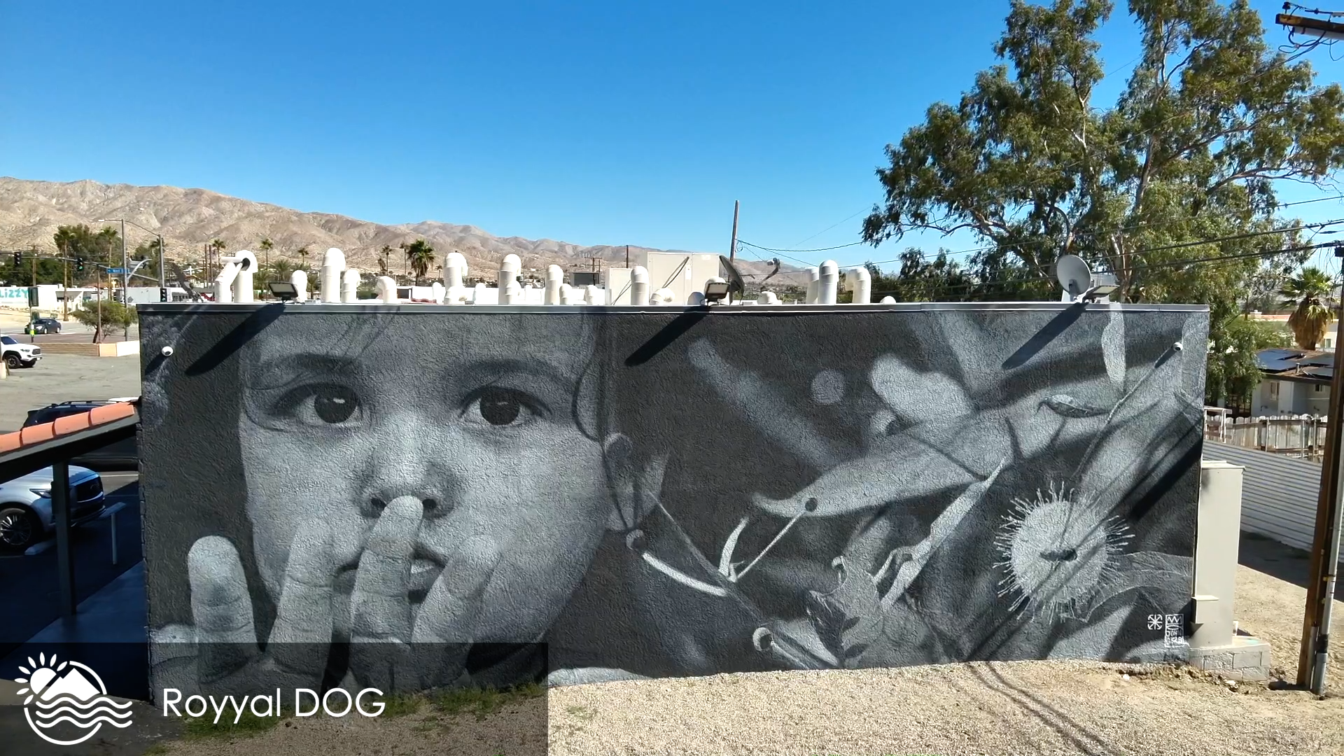 City of Desert Hot Springs Murals