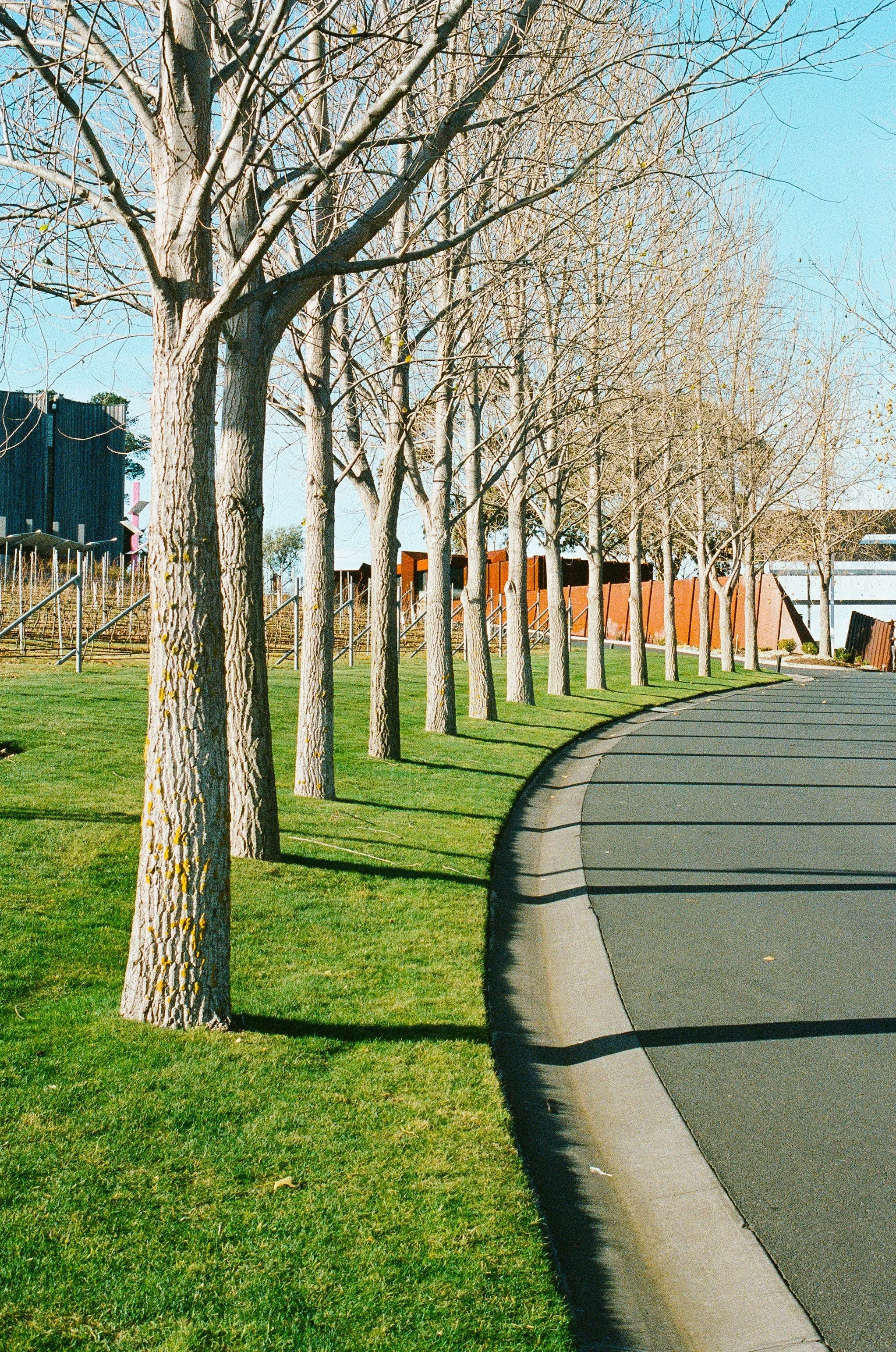 Mona Museum.jpg
