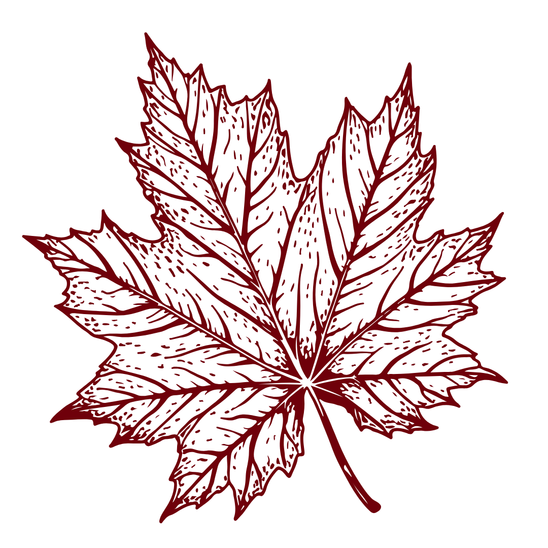 tnl5.png