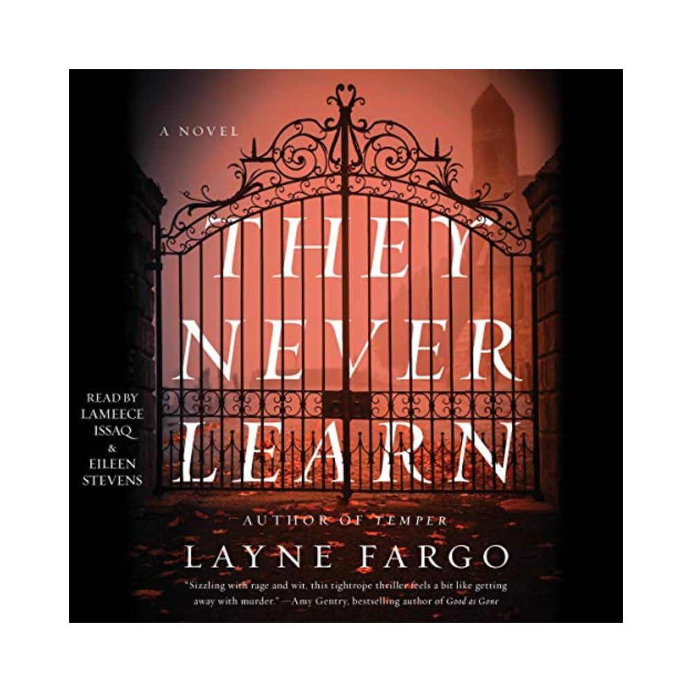 THEY NEVER LEARN Audiobook