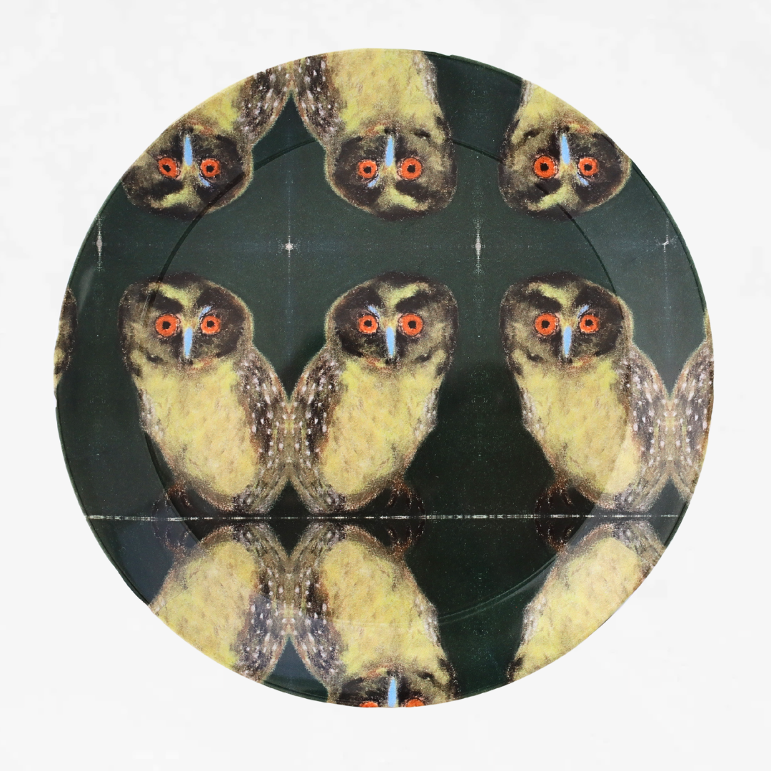 MR RUTLAND PLATE.png