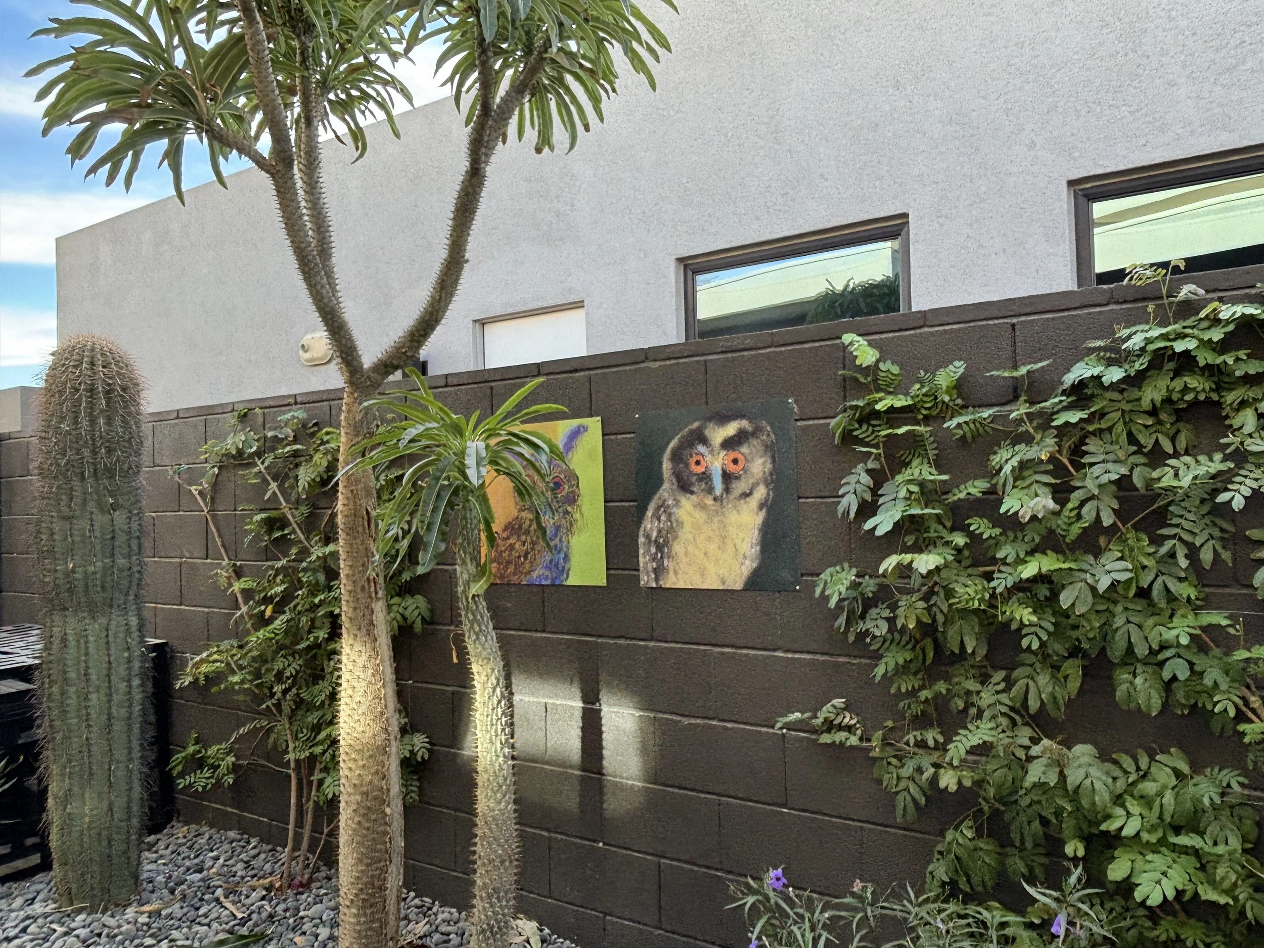 installation 5b.jpeg