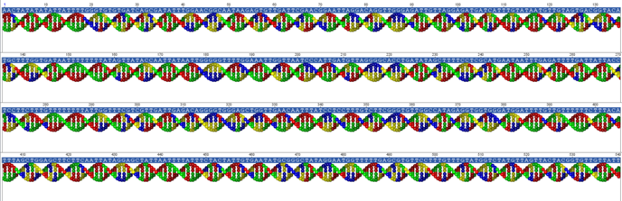 Illustration of four DNA double helix strands from the open hole trapdoor spider, Aname mellosa