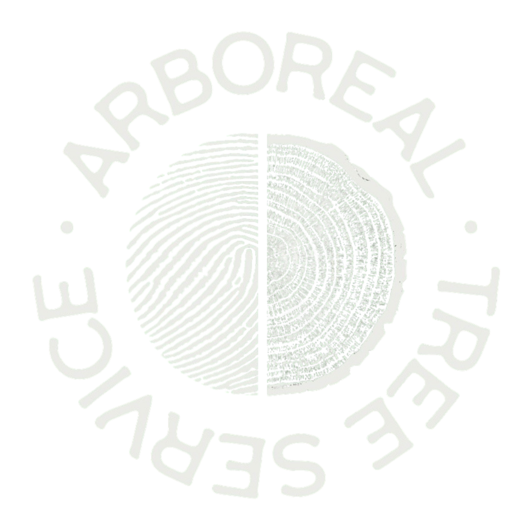 Arboreal Tree Service
