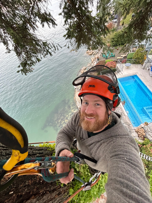 Arboreal Tree Service Inc photo 5