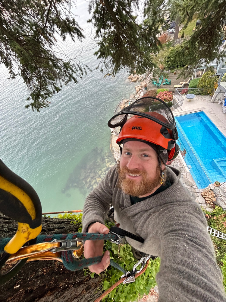 Arboreal Tree Service Inc photo 7