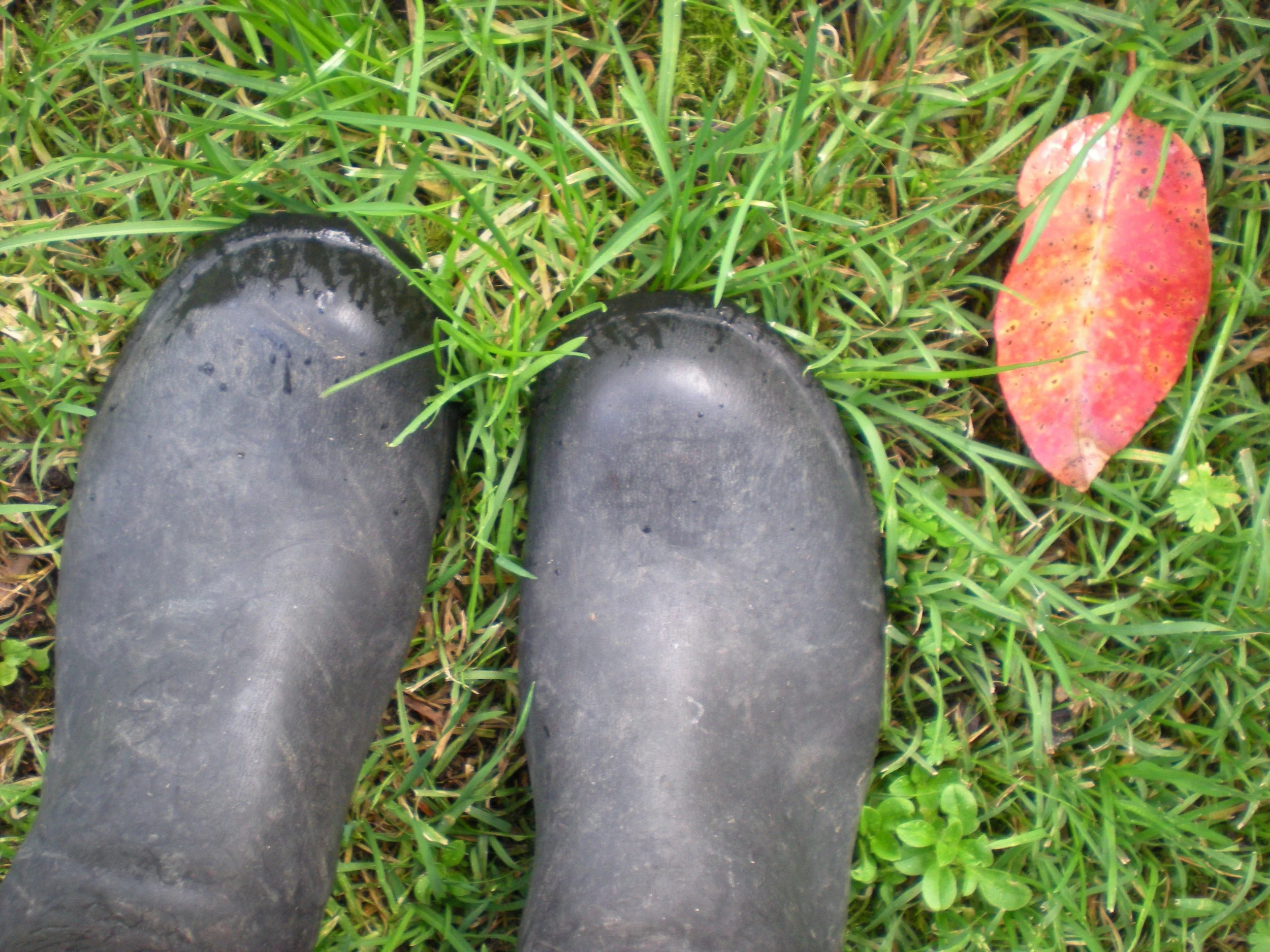 AUTUMN Neurodivergent Wellbeing Retreat Day 