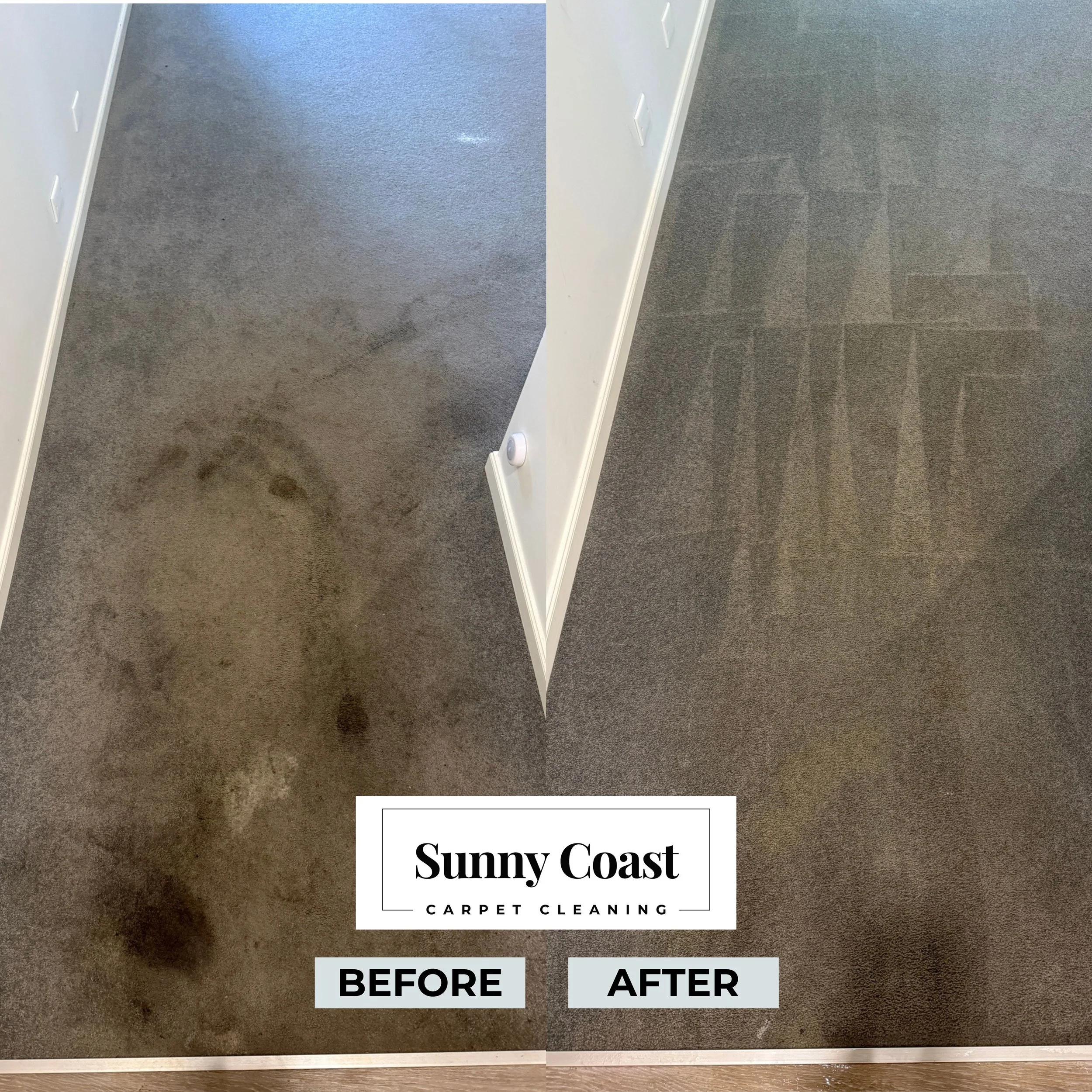 Steam Carpet Clean service for bloody & worn carpets for residential hallway into bedroom
