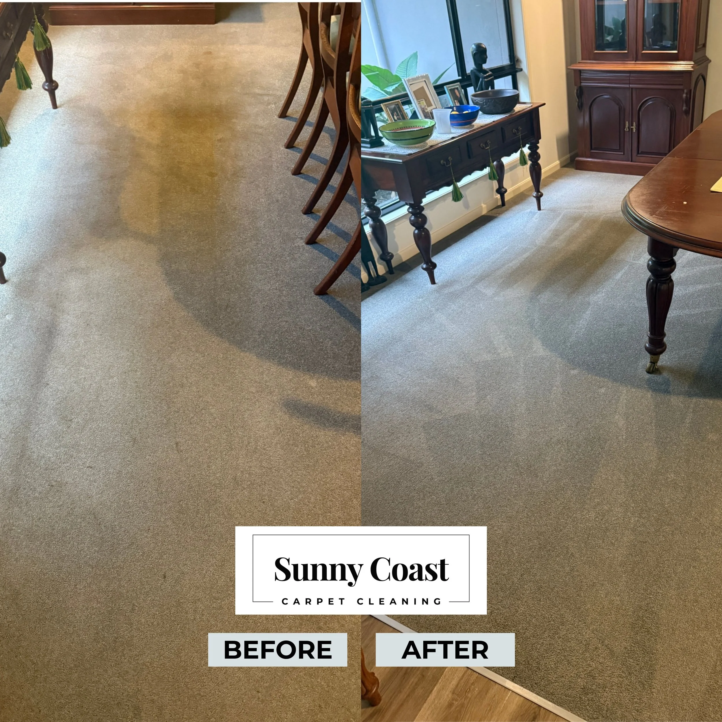 Carpet Clean Refresh of carpet in living room at Noosaville Property