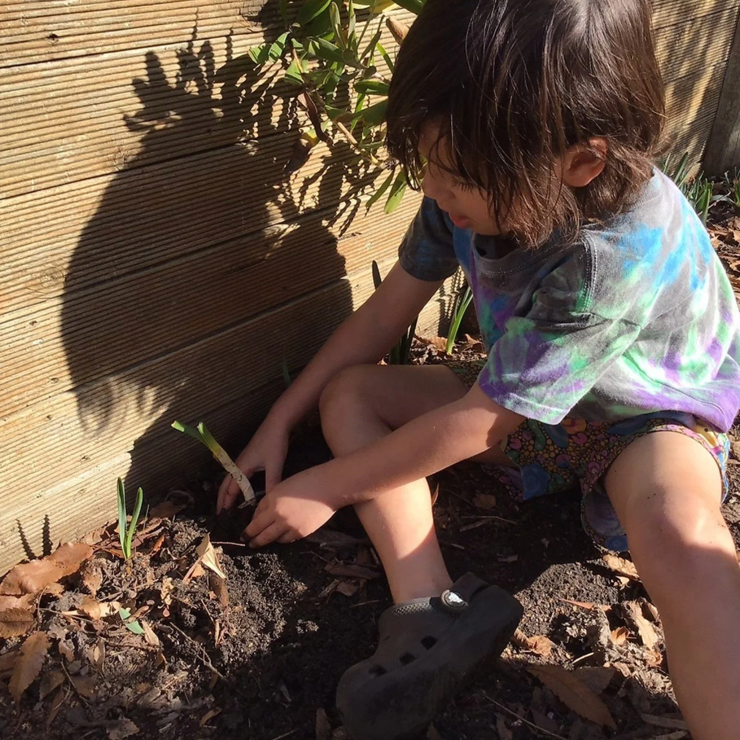 &ldquo;The child
is made of one hundred.
The child has
a hundred languages
a hundred hands
a hundred thoughts
a hundred ways of thinking
of playing, of speaking.&rdquo;

- Loris Malaguzzi