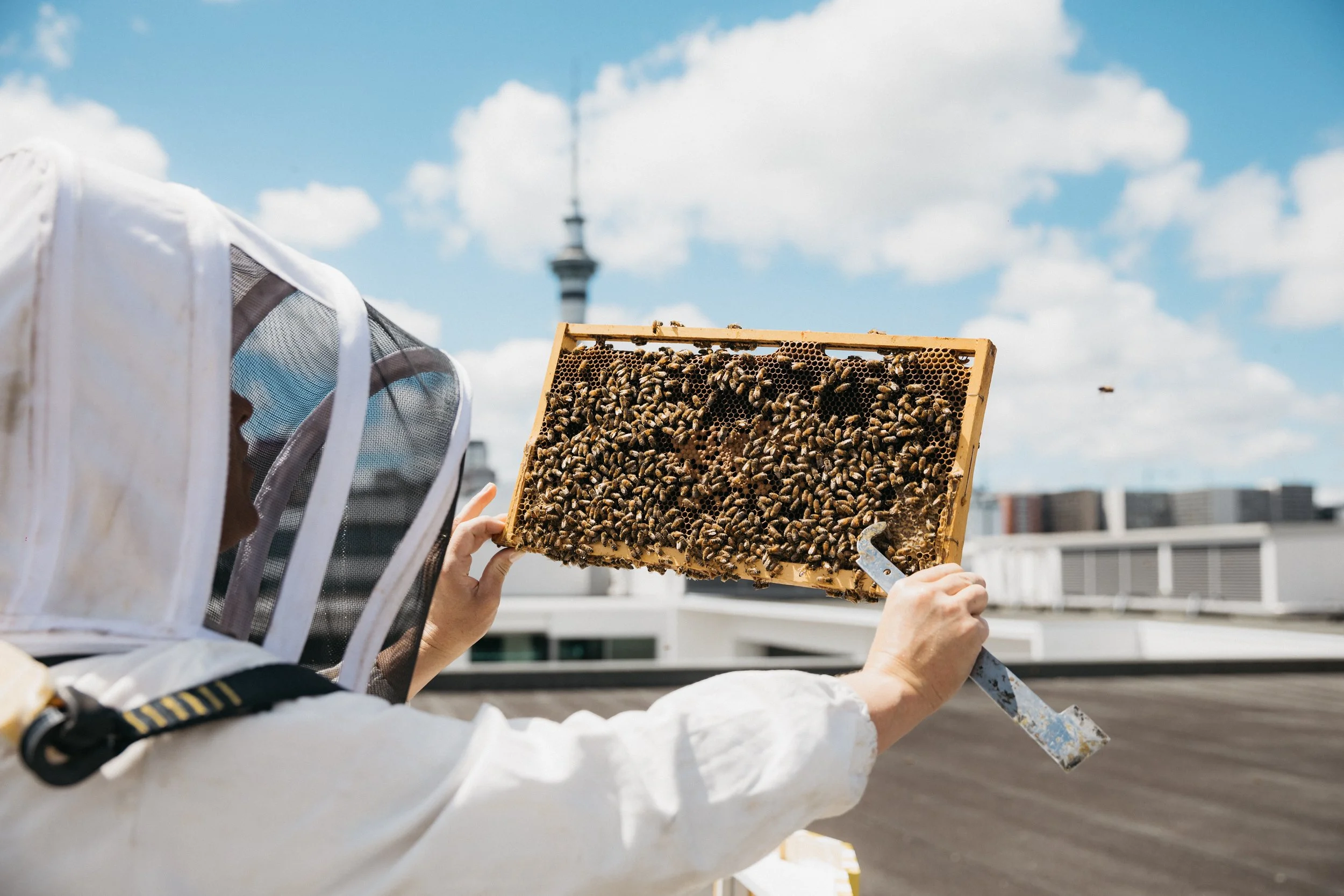 sydney-photographer-marketing-content-brand-photography-australia-event-photograher