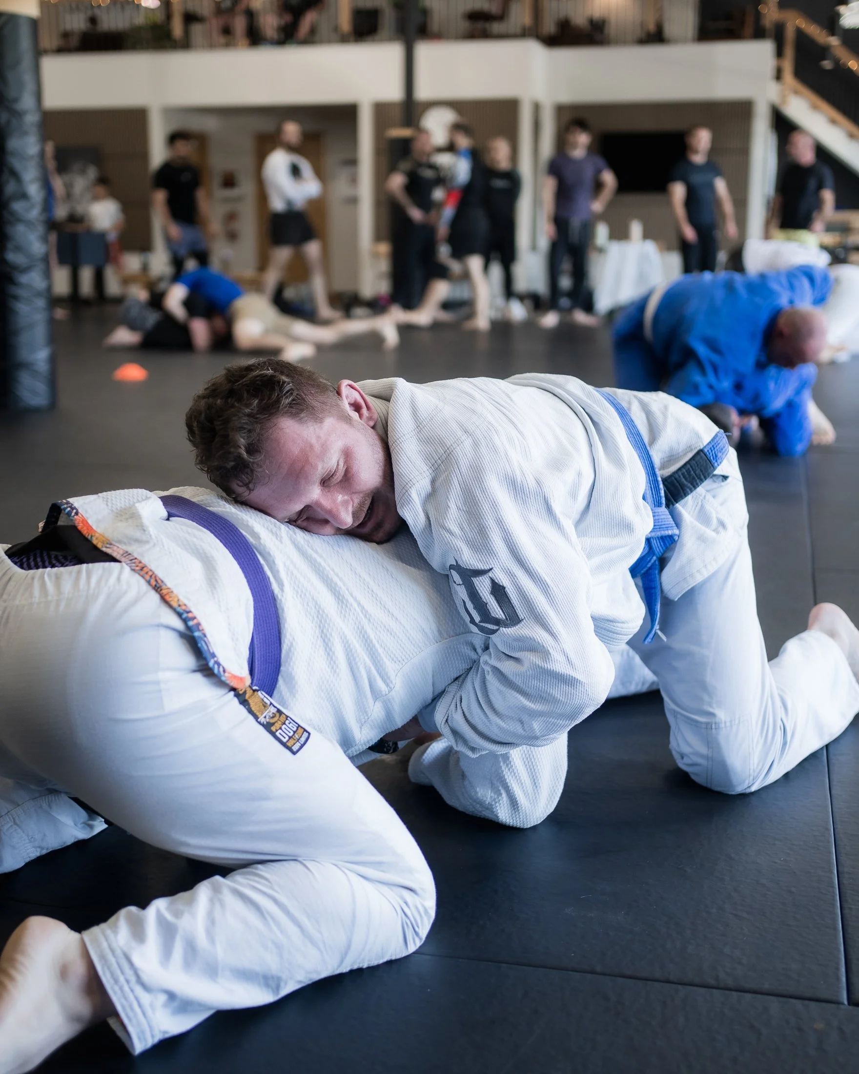 06-2026 Promotions-9-2.jpg