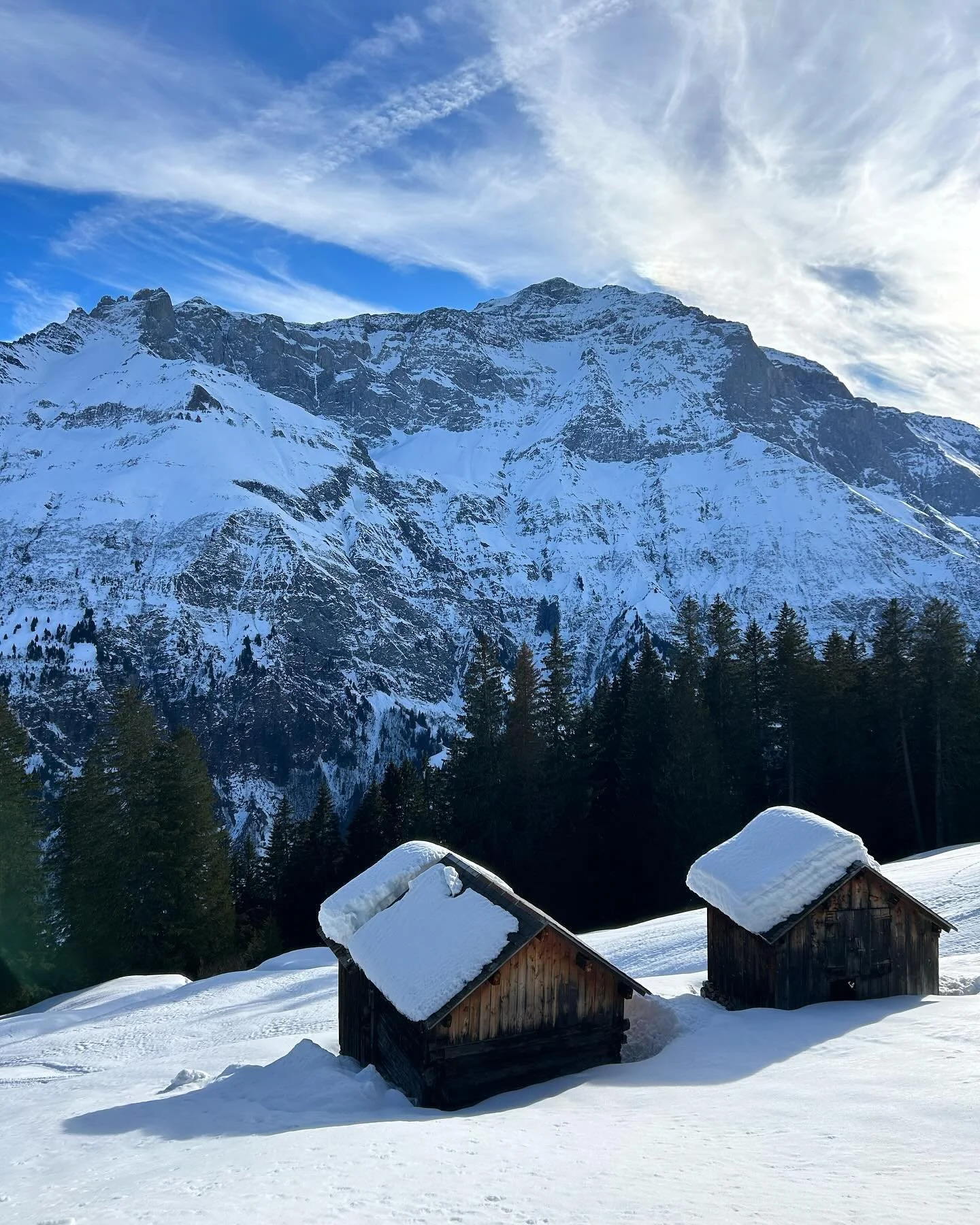Snow capped memories from this last Winter in Switzerland 🇨🇭