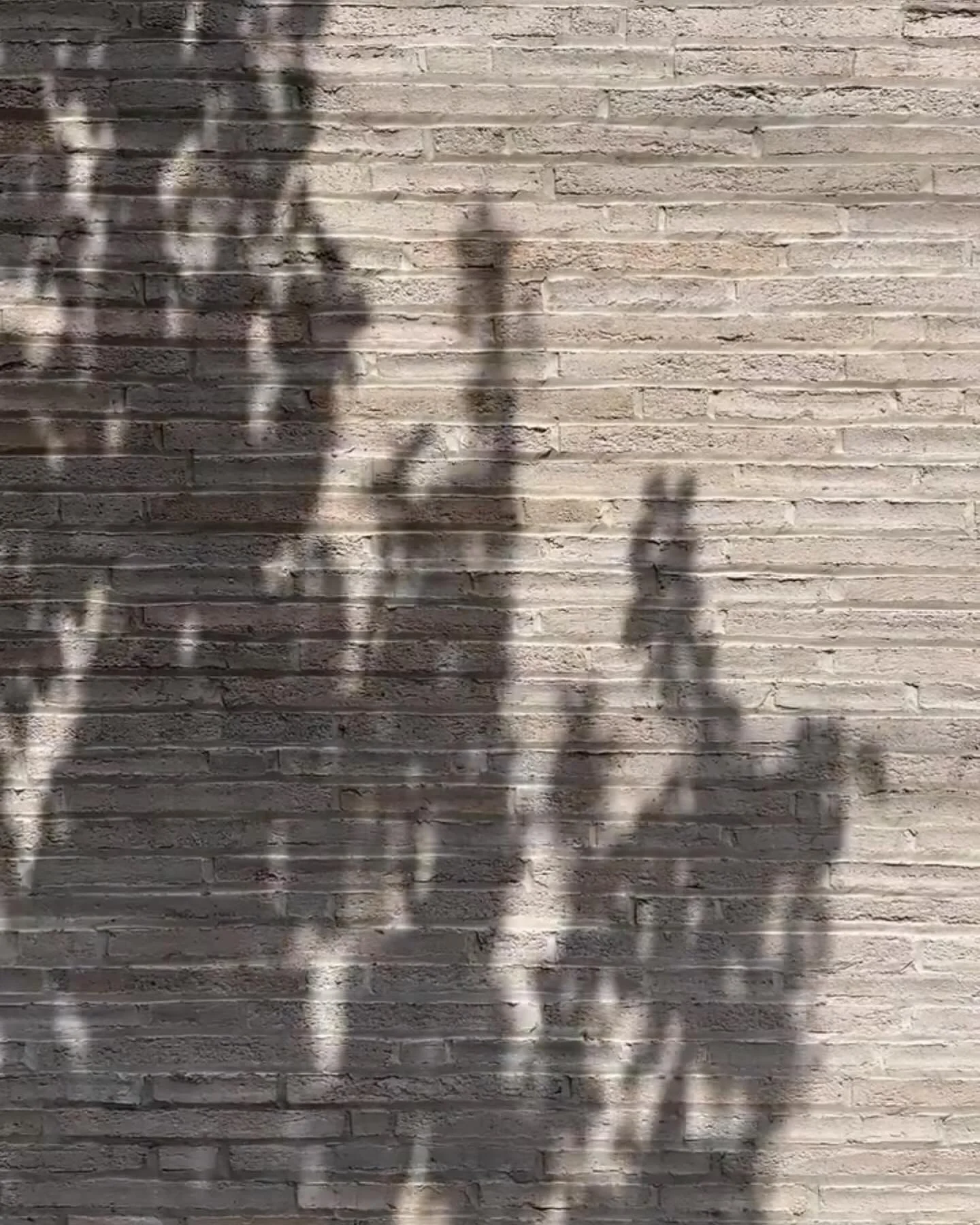 Textures | Soft colour combinations and variations allow the material to really shine | Love how the tree&rsquo;s shadows highlight the irregularities in the stunning long brick &hellip; getting inspired for a couple projects!

.⠀
.⠀
.⠀
 #design #sty